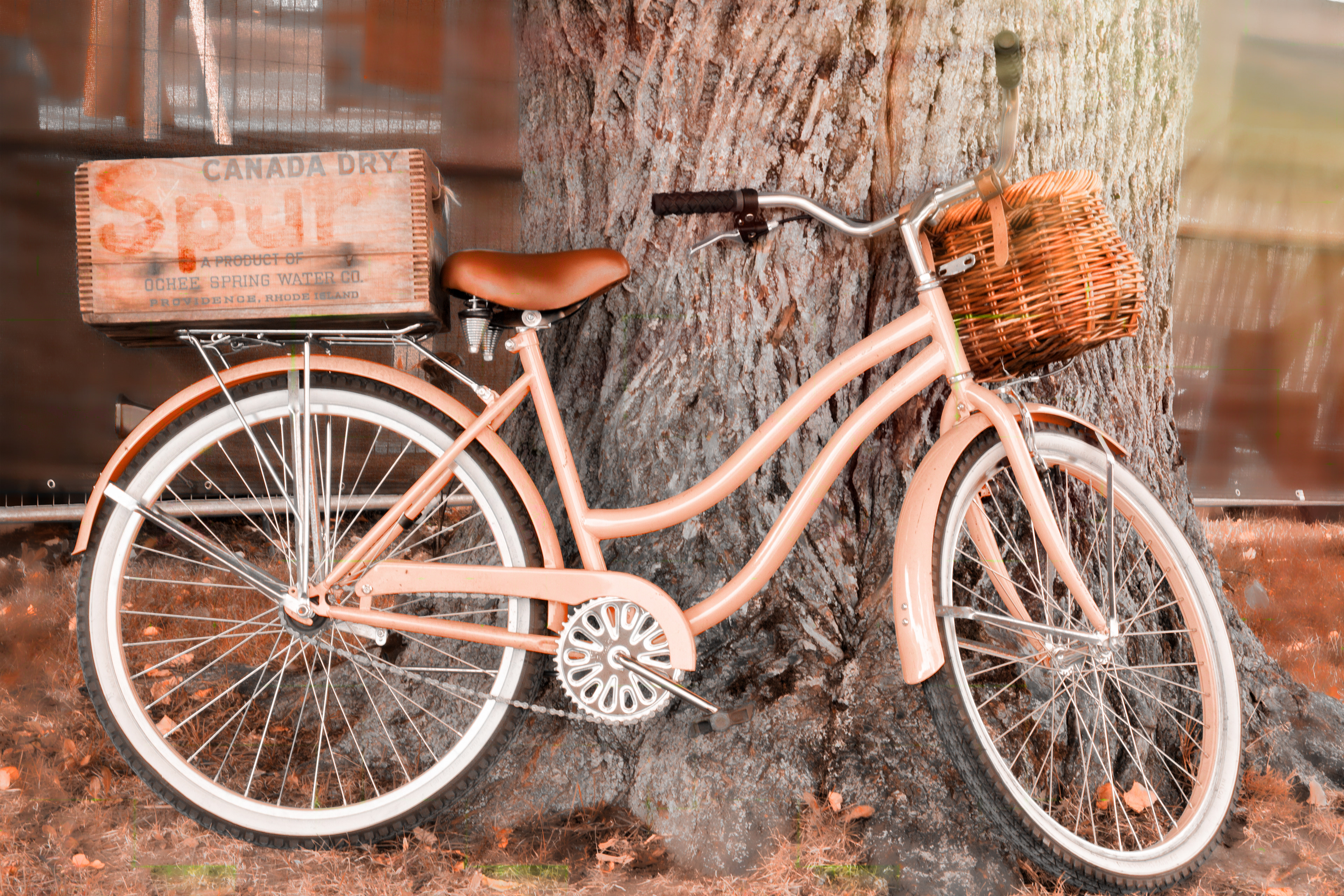 Let's Go for a Bike Ride