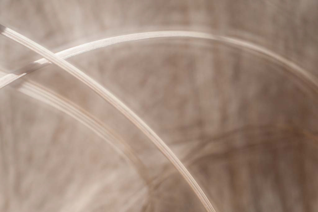Abstract Grasses #2