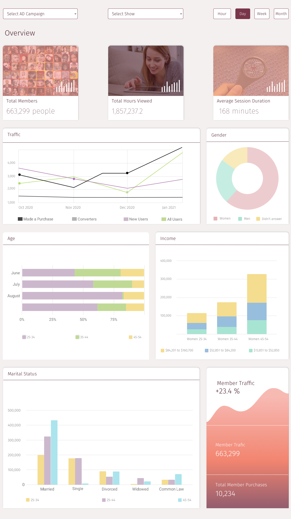 Audience Data Visualization