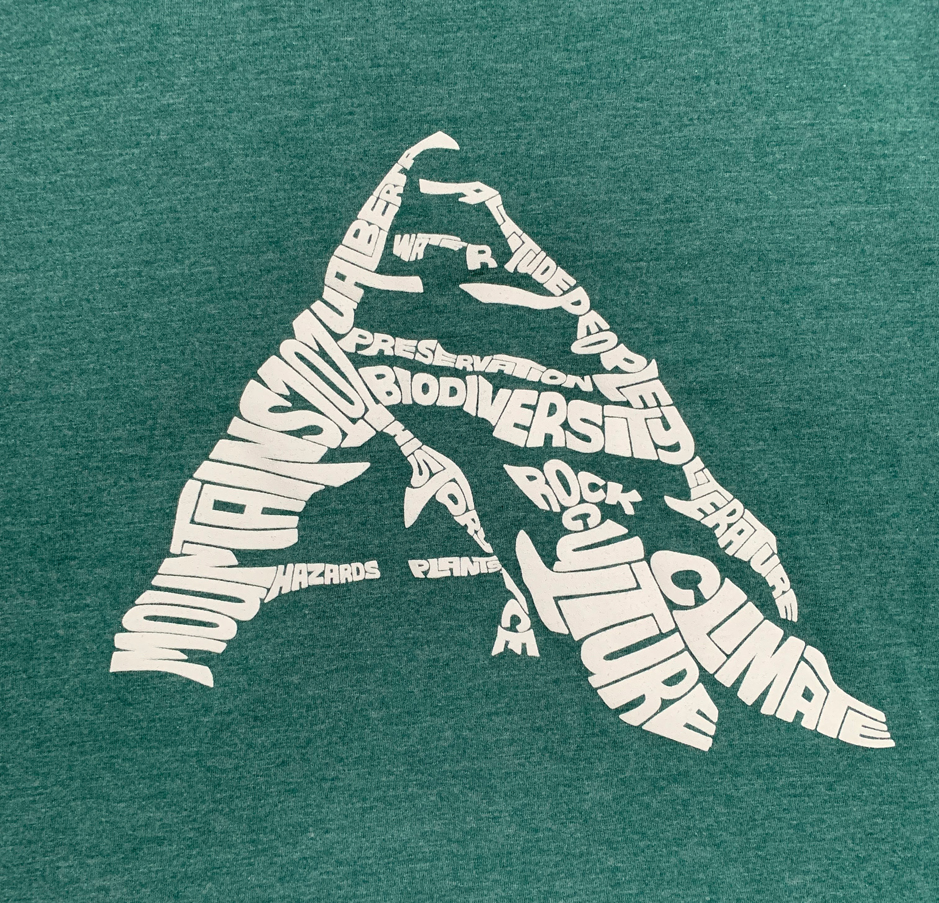 University of Alberta typographic illustration design by Seanings