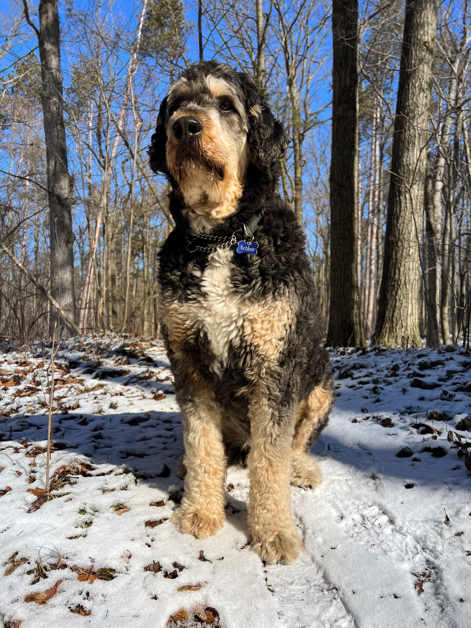 Arthur Posing