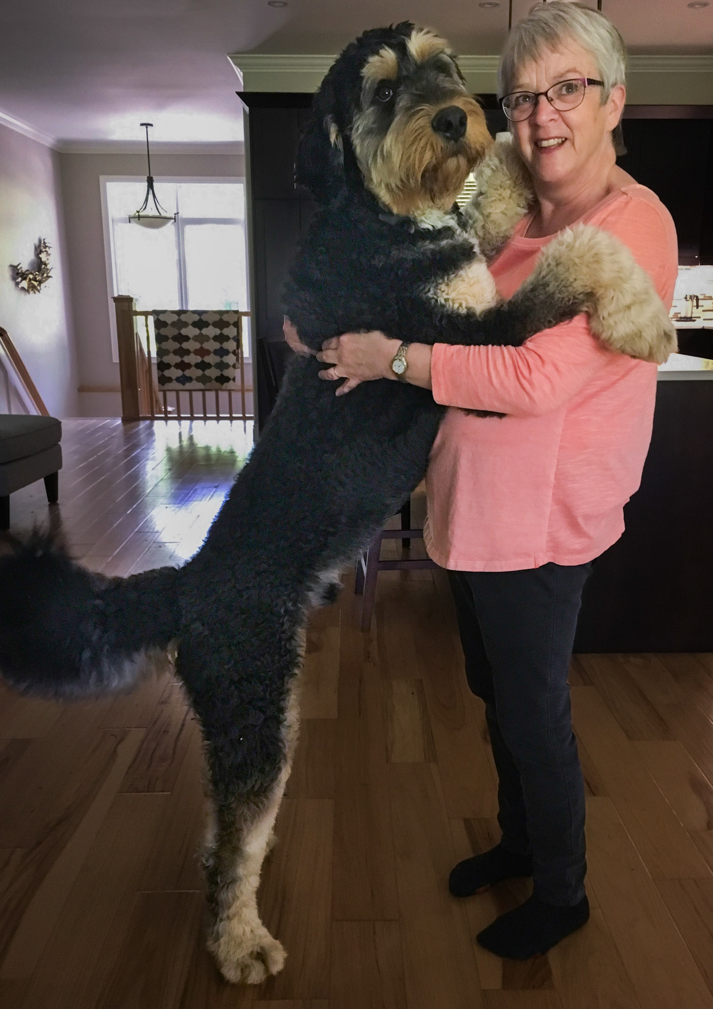 Top Dog