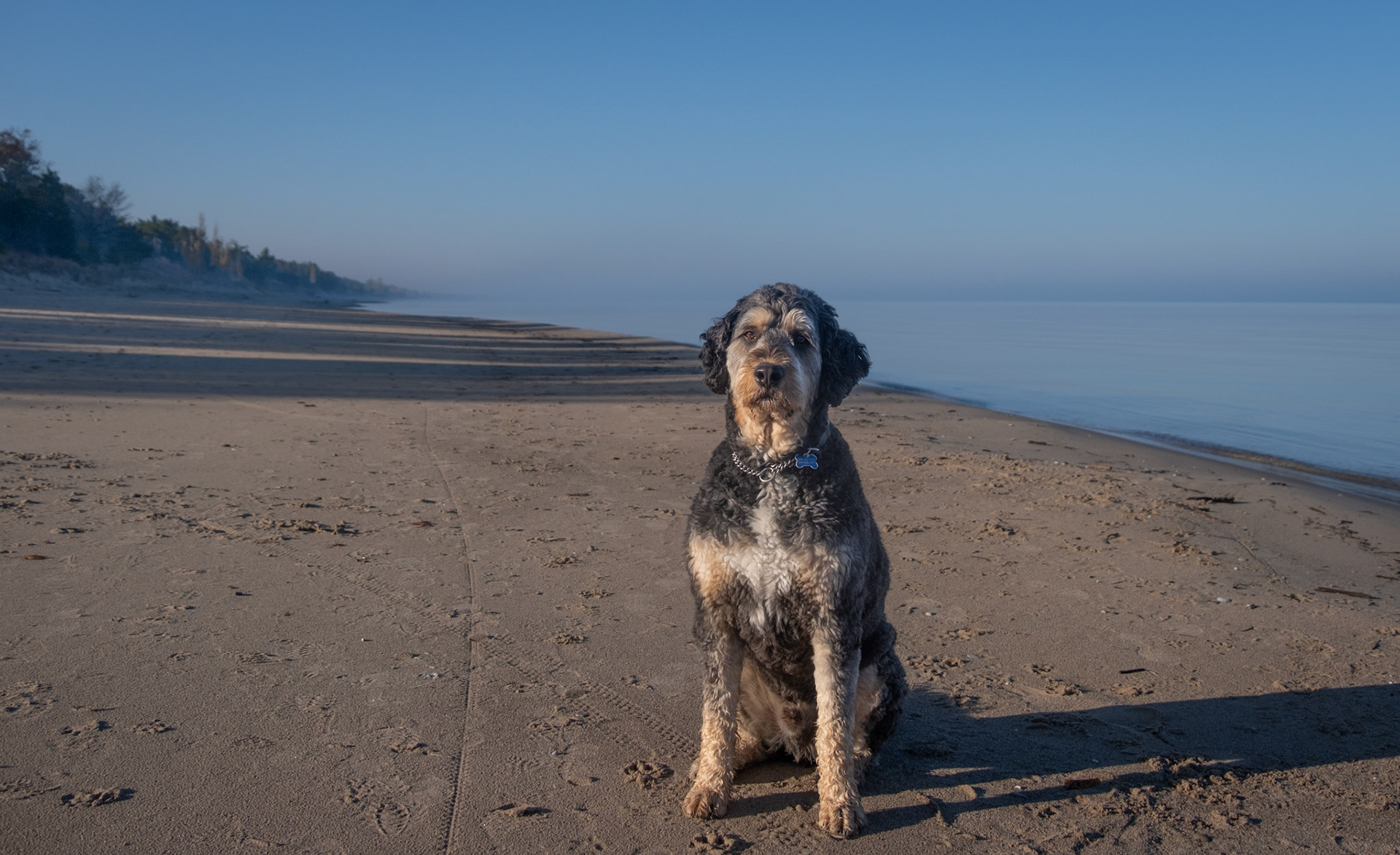 The Perfect morning for a walk on the beach