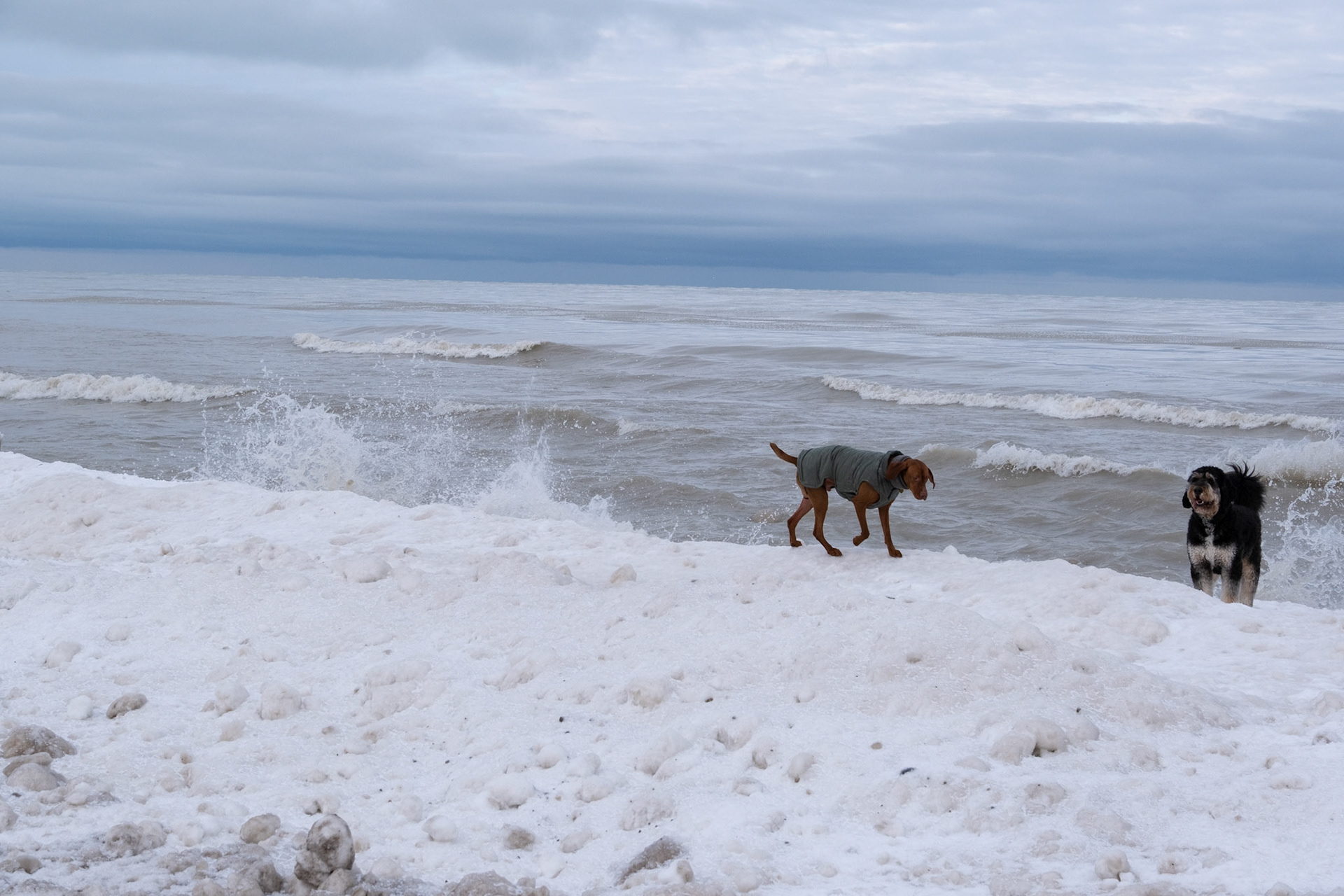 Winter walks