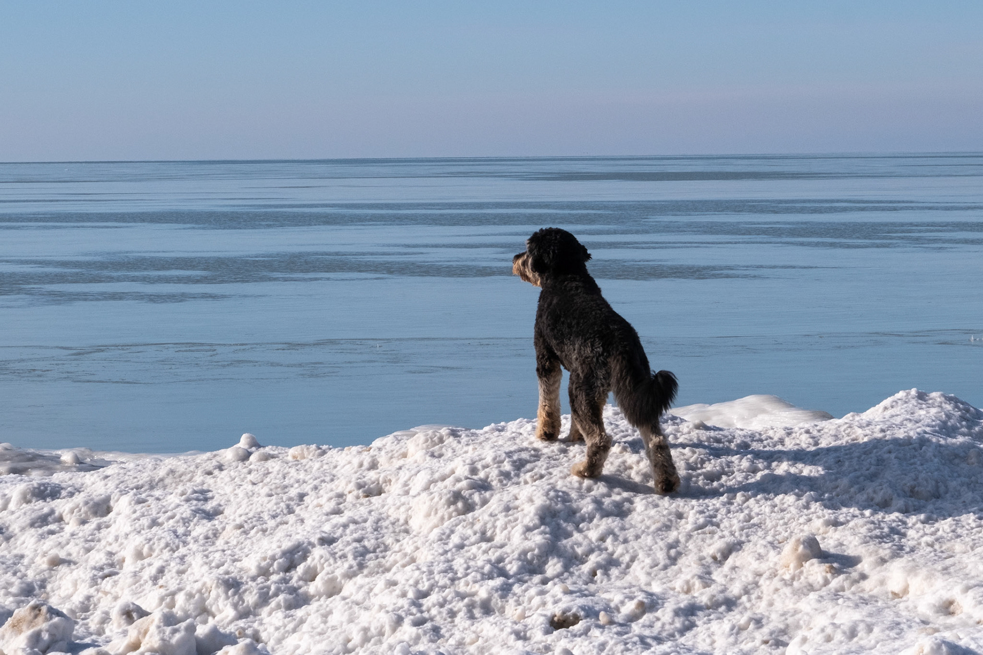 Look out to sea
