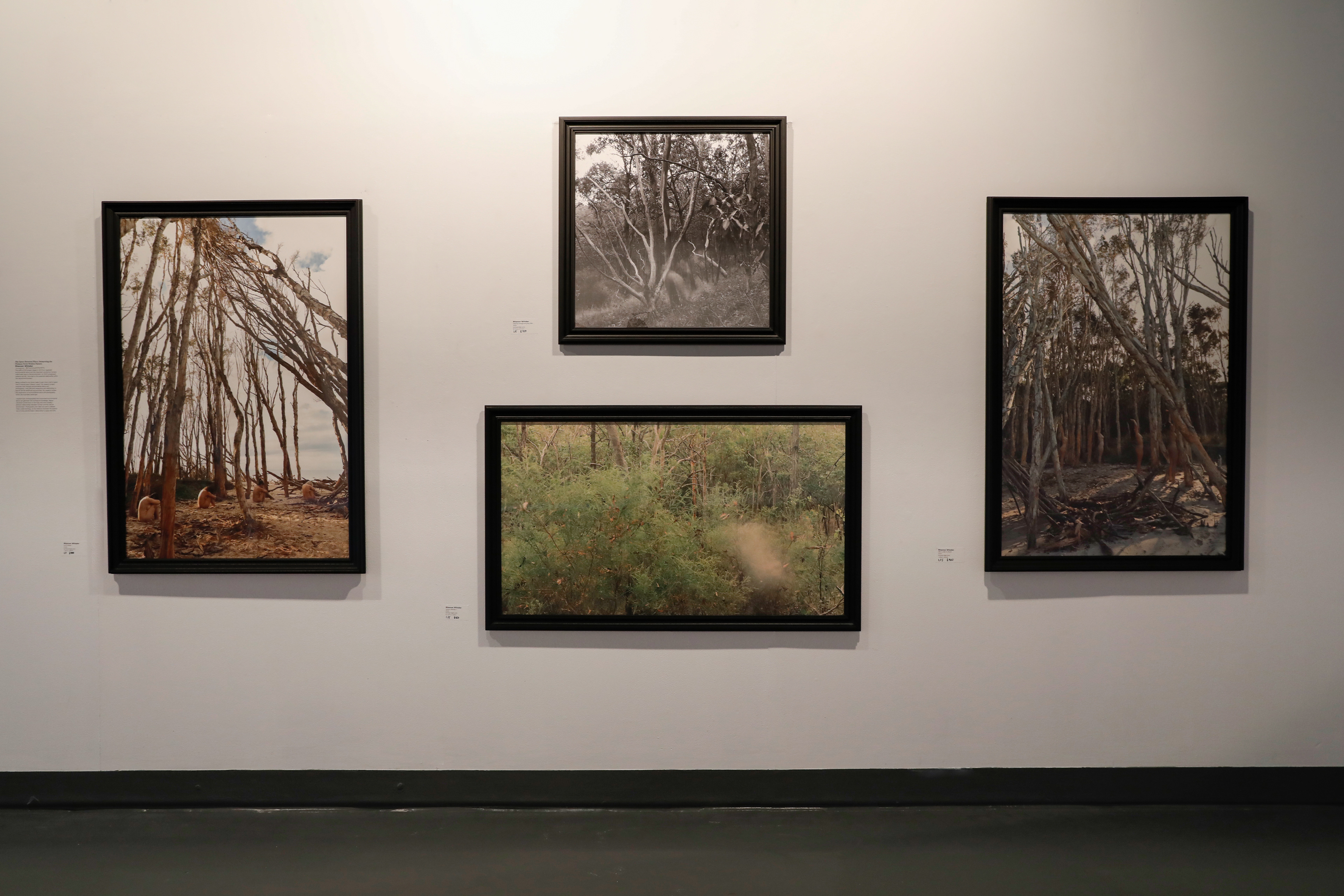 Exhibition of The Space Between Place. Archival inkjet prints and handmade custom frames. Please email if you are interested in purchasing these limited edition prints.