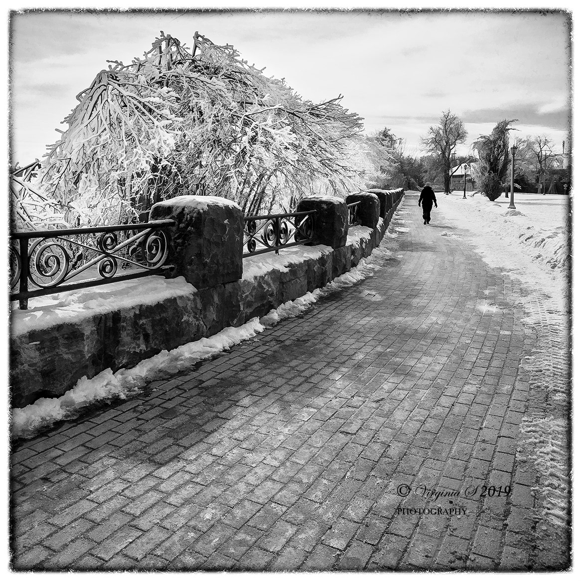 Frigid Stroll