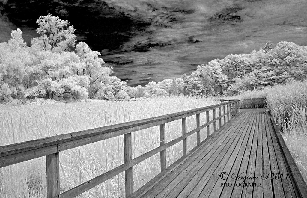 Boardwalk RBG Burlington, ON