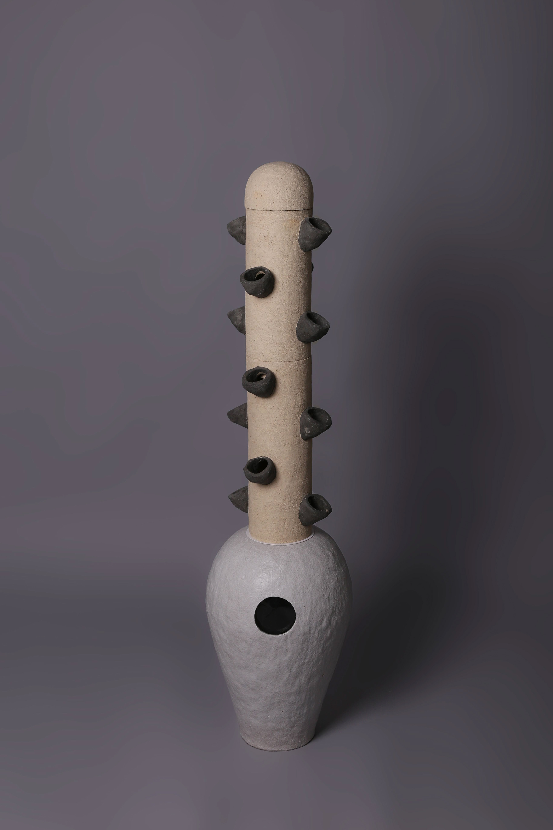 udu lizard (우두 도마뱀)