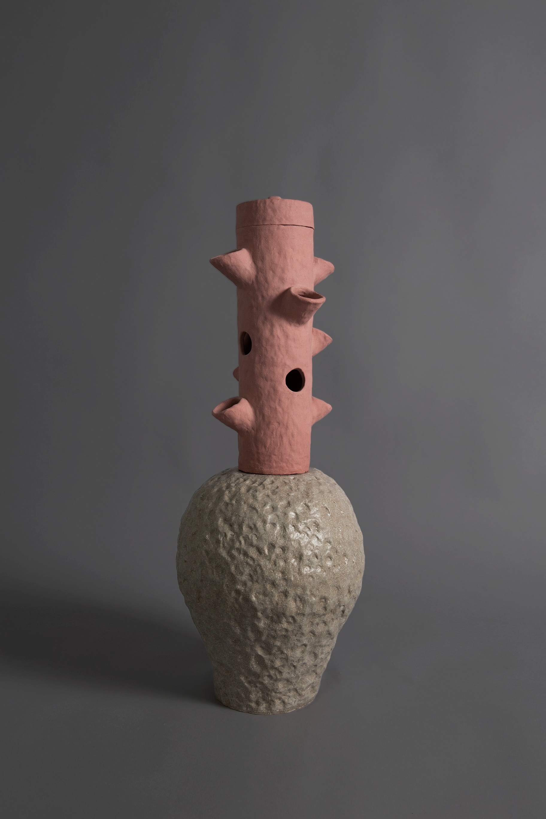 pink lizard (핑크 도마뱀)