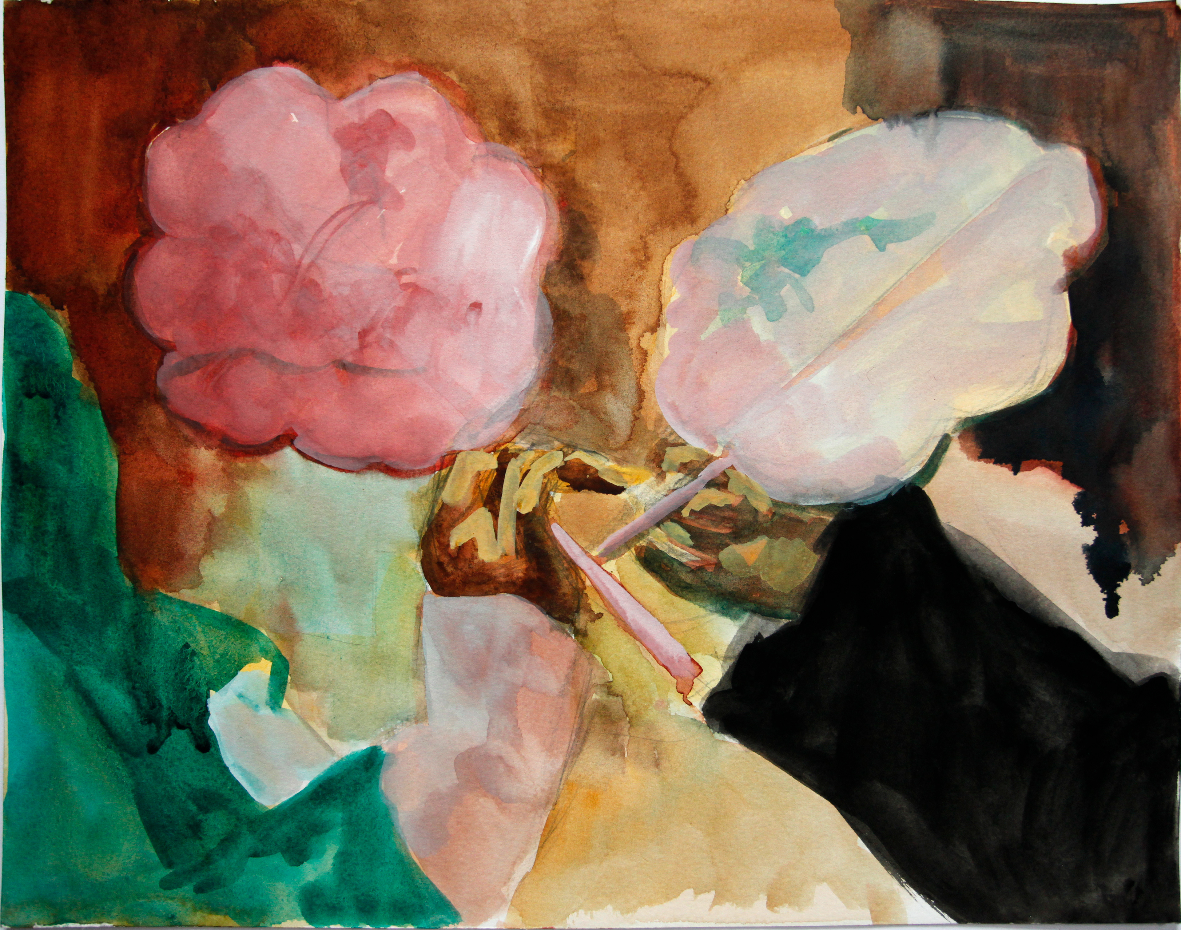 Winter begonia n° 1