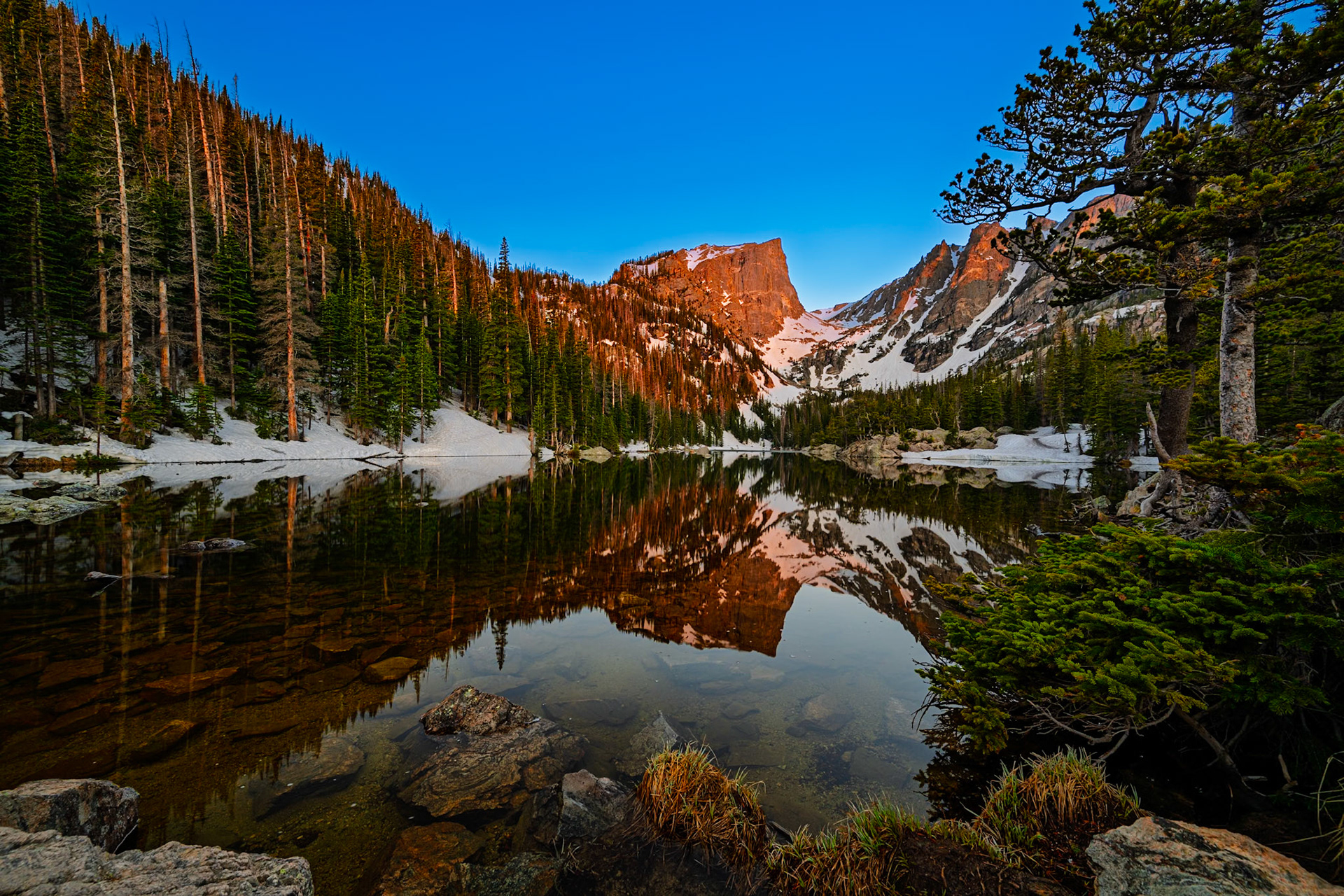 Alpine Glow
