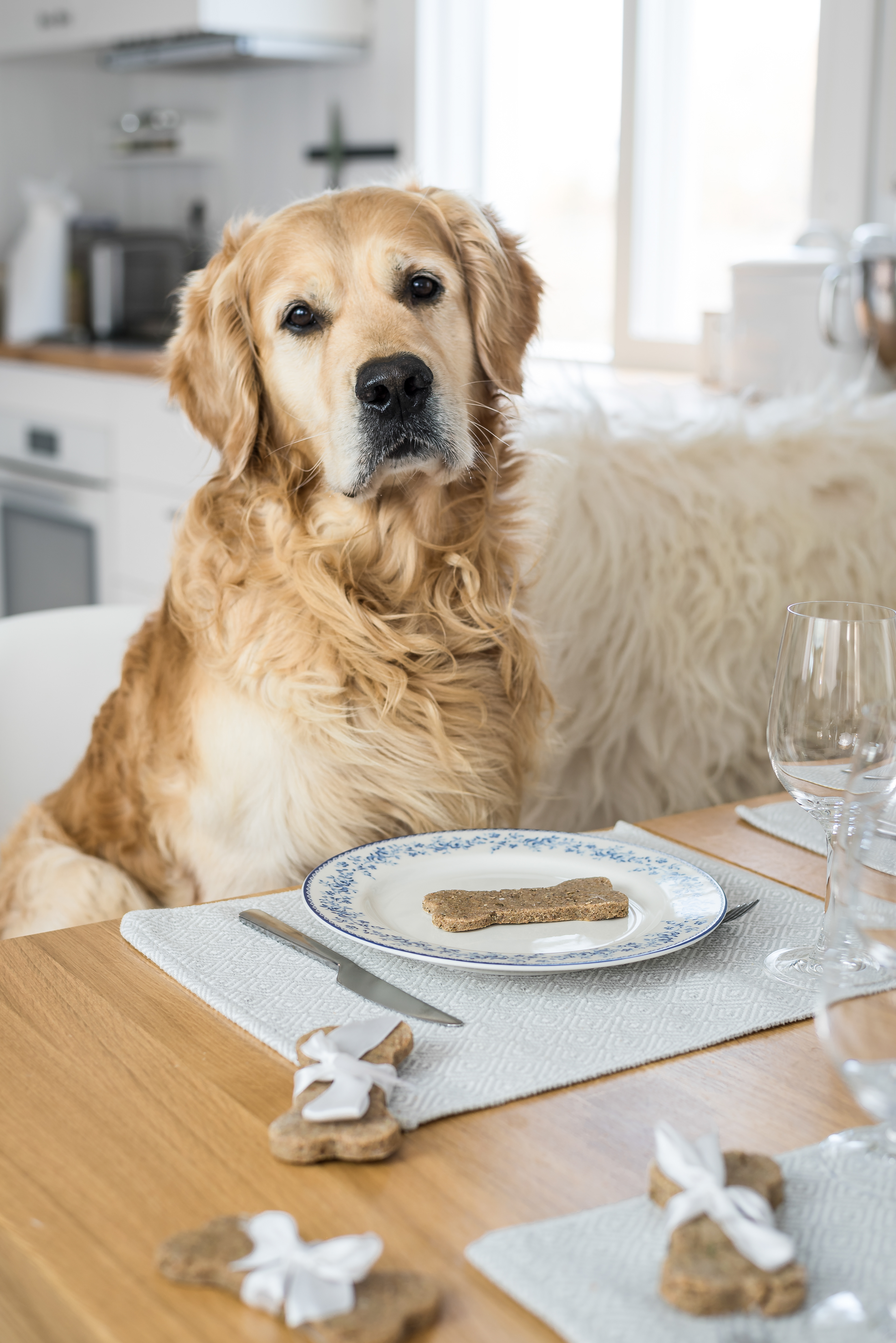 Dog Cookies
