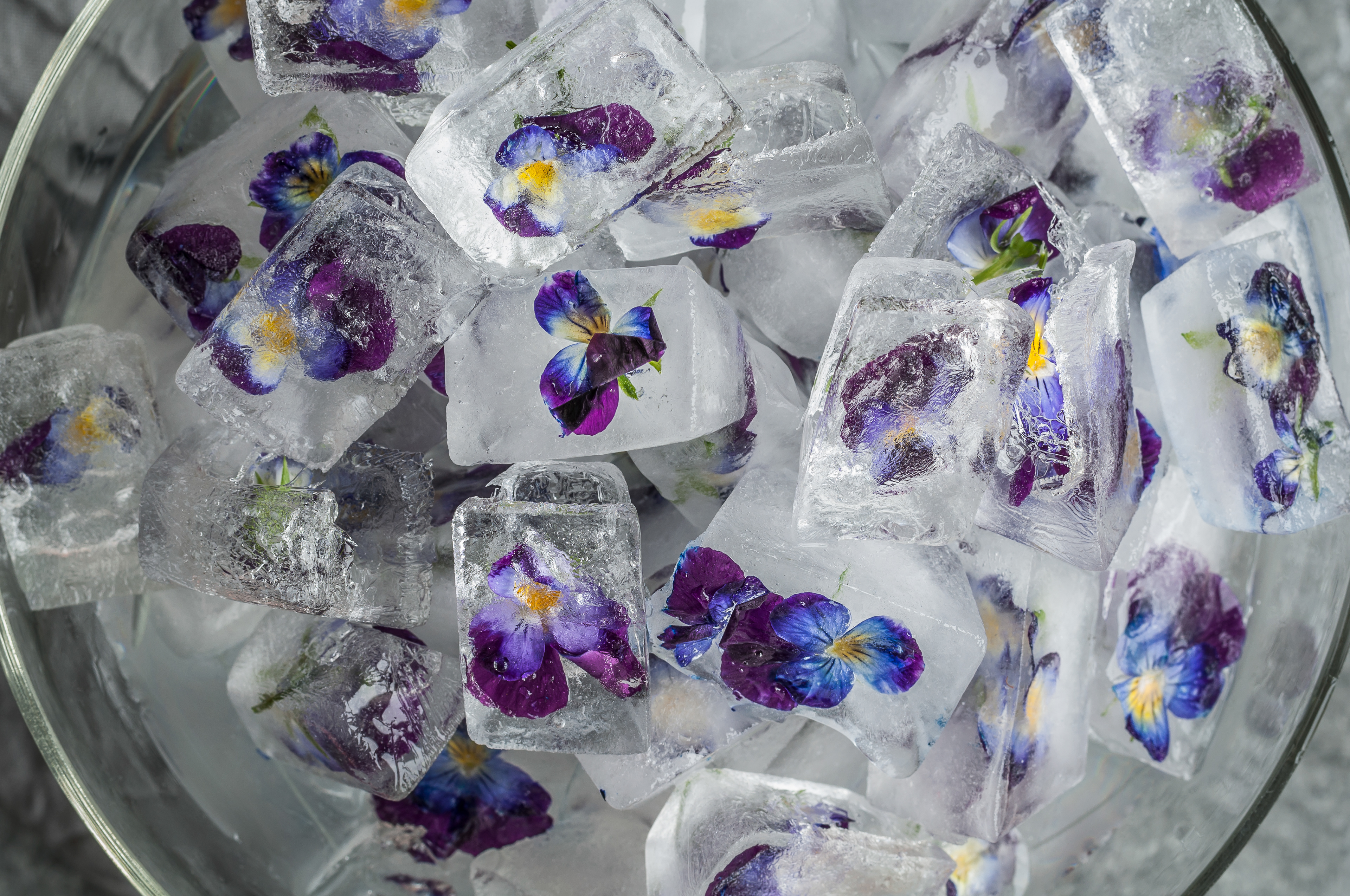 Frozen Flowers