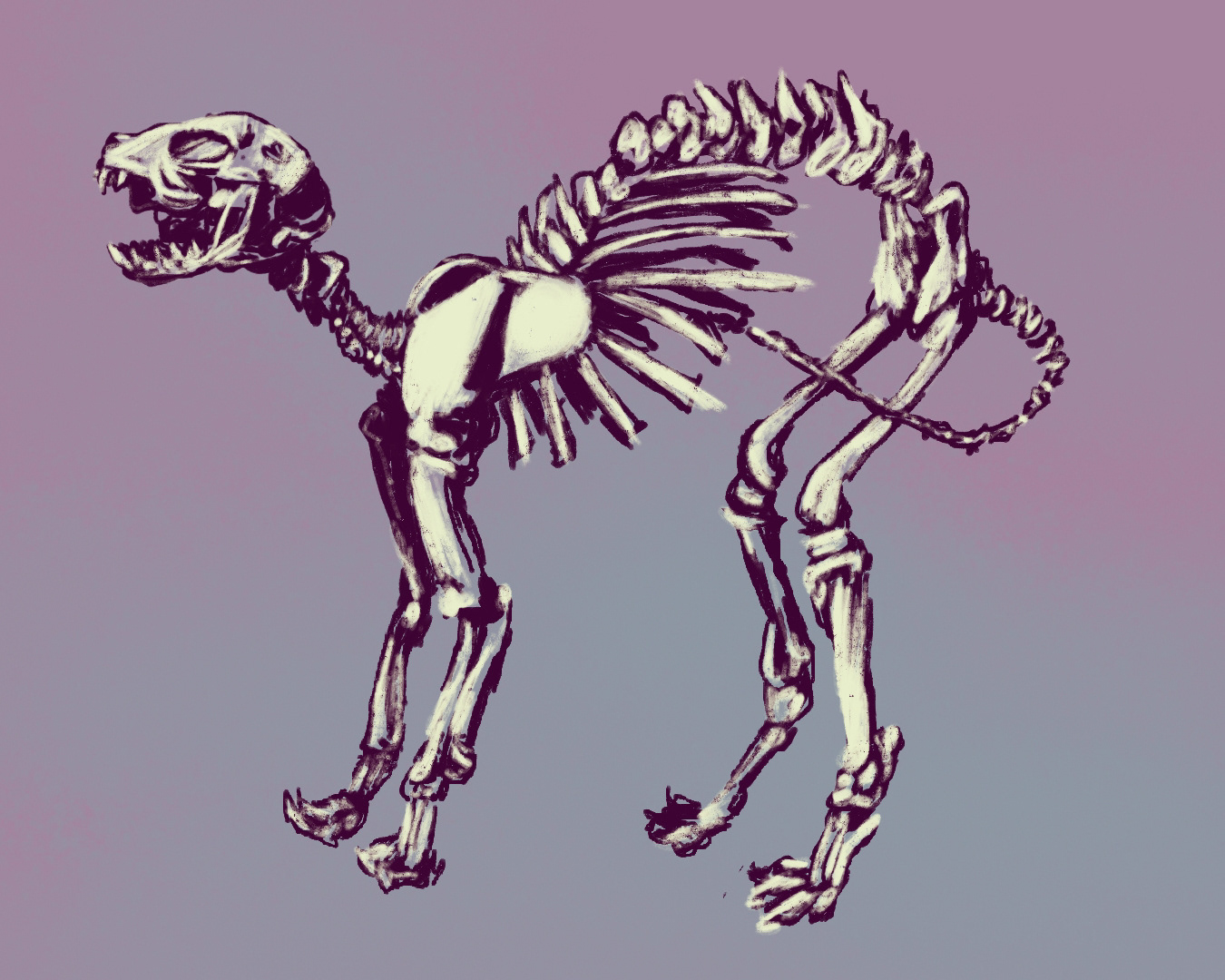 Skeletal Scare