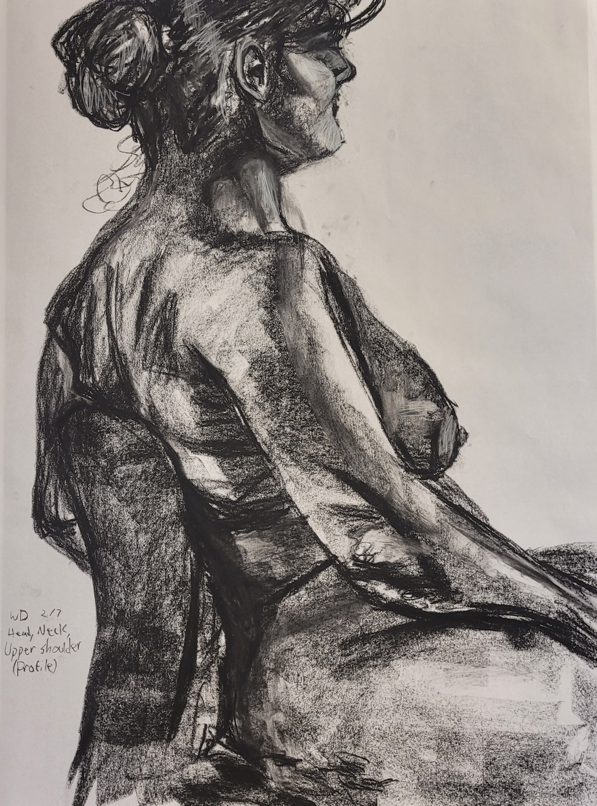 Head, Neck, Upper Shoulder (Profile)