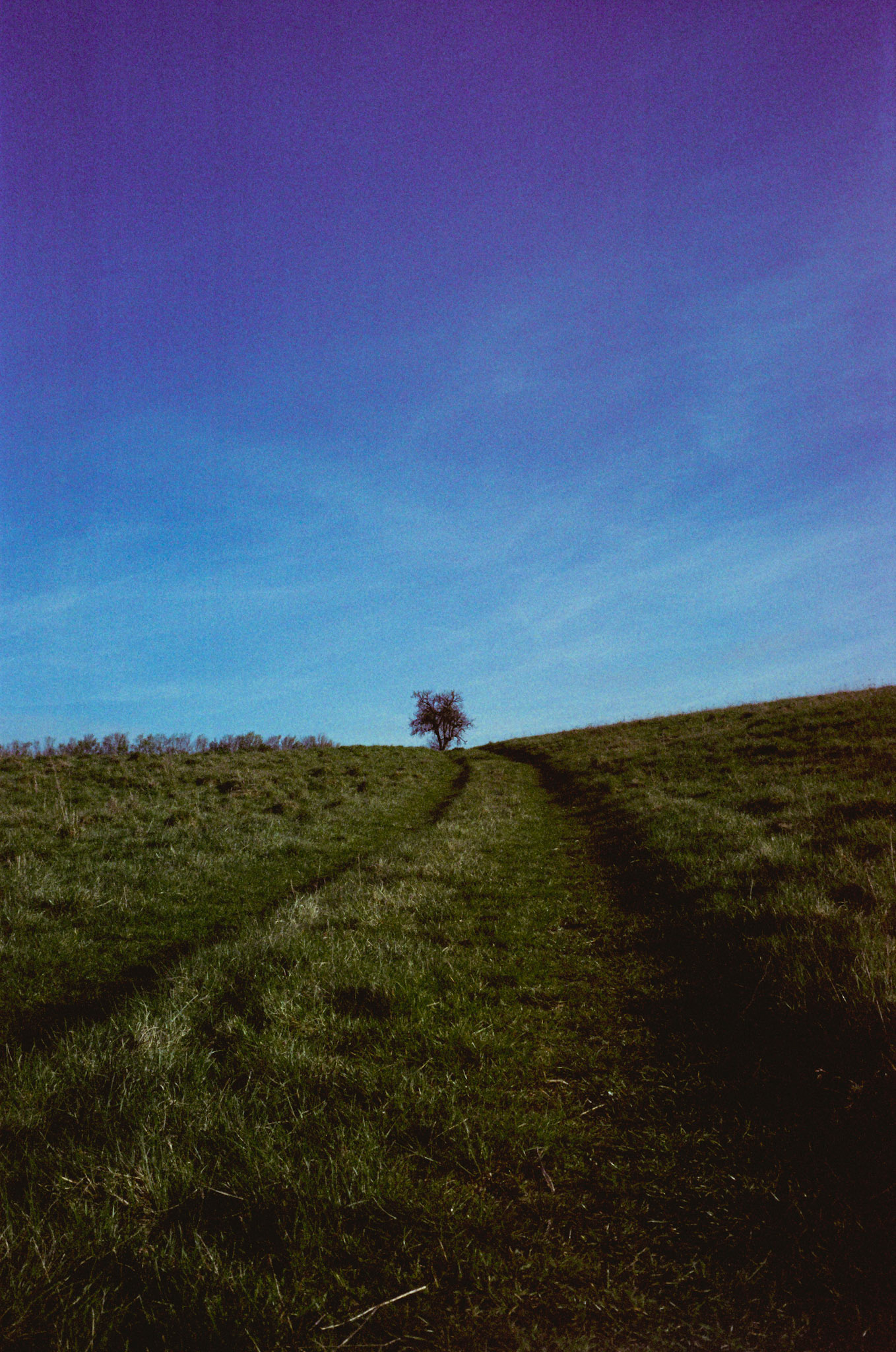 Vision3 500T Pushed +1