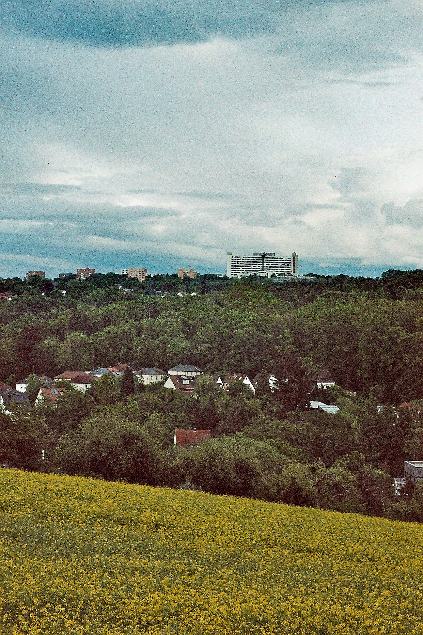 Leica M4 | Kodak Gold 200