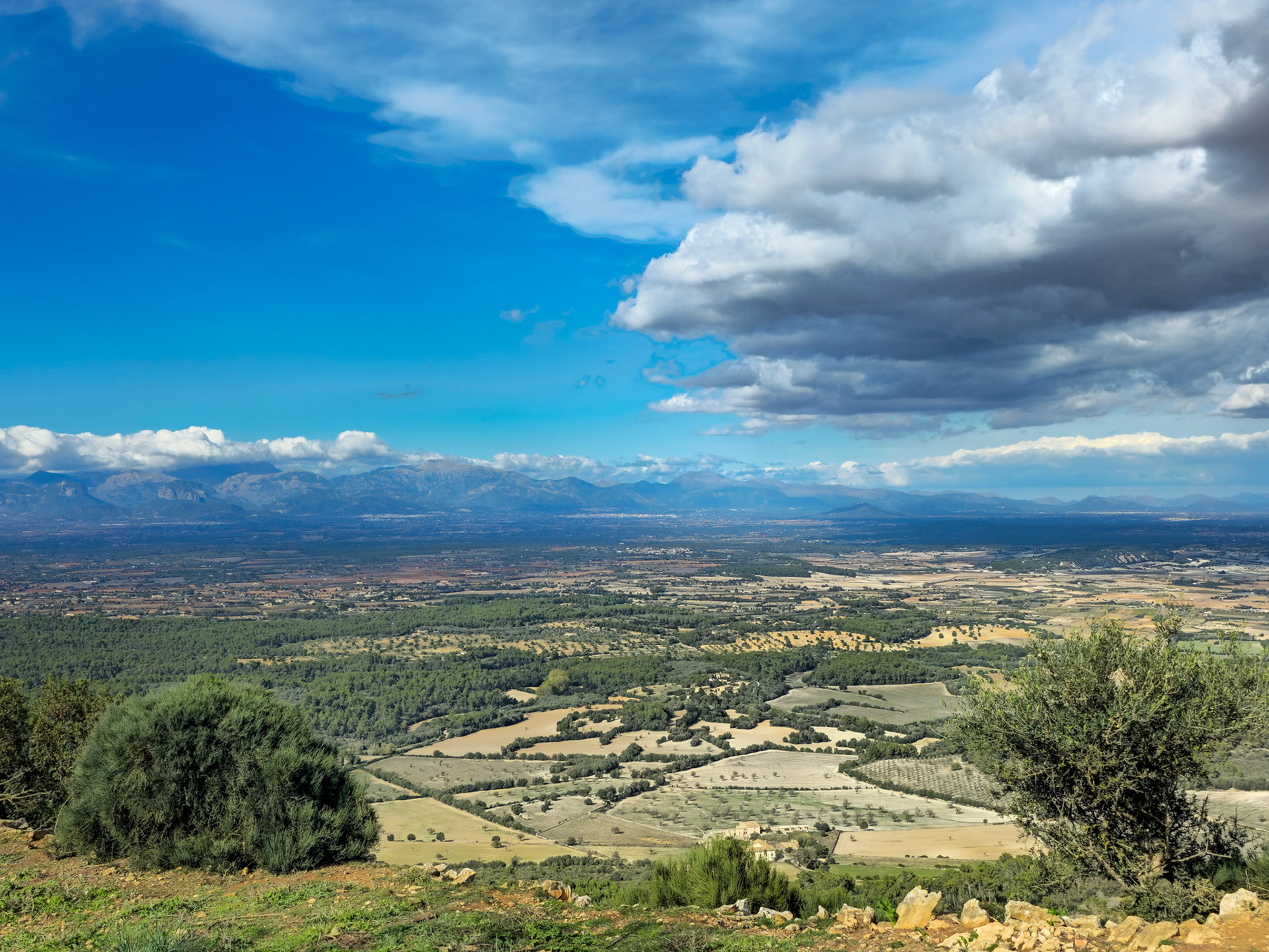 The Great Plains, Mallorca, Smartphone