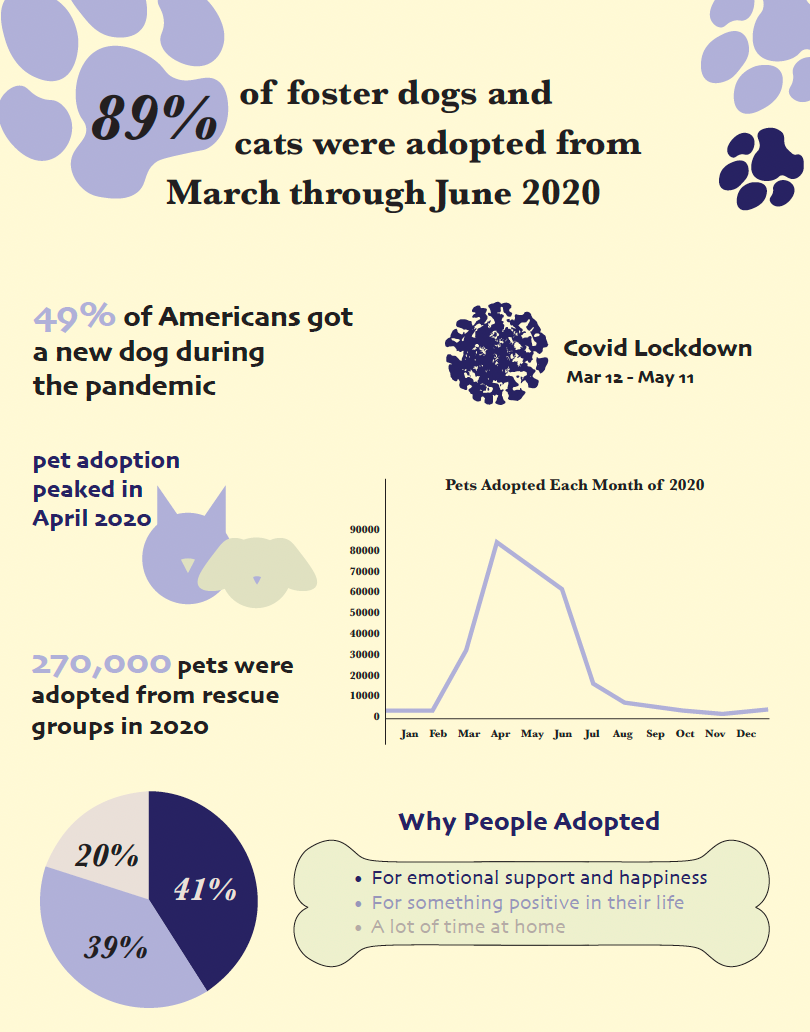 Infographic poster about animal adoptions during the Covid lockdown.