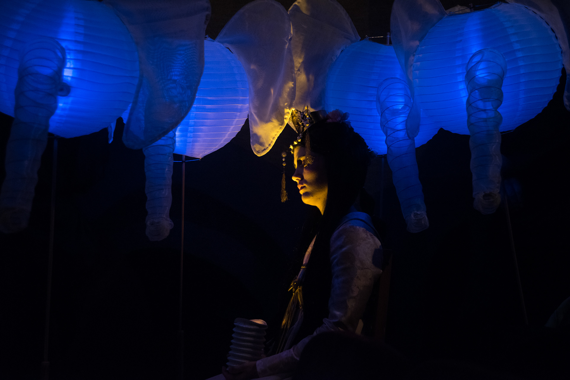 A császárfiú álma