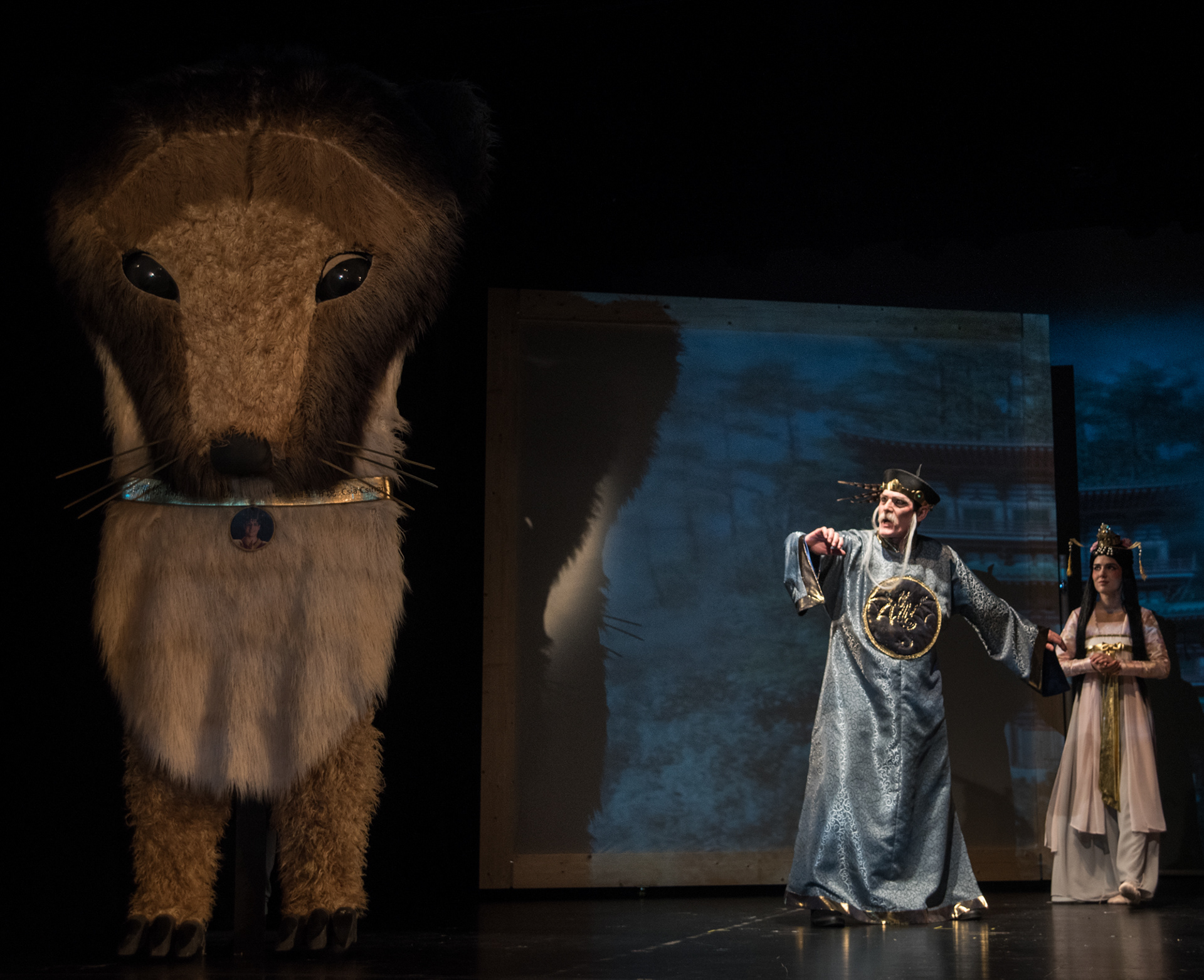 A császárfiú álma