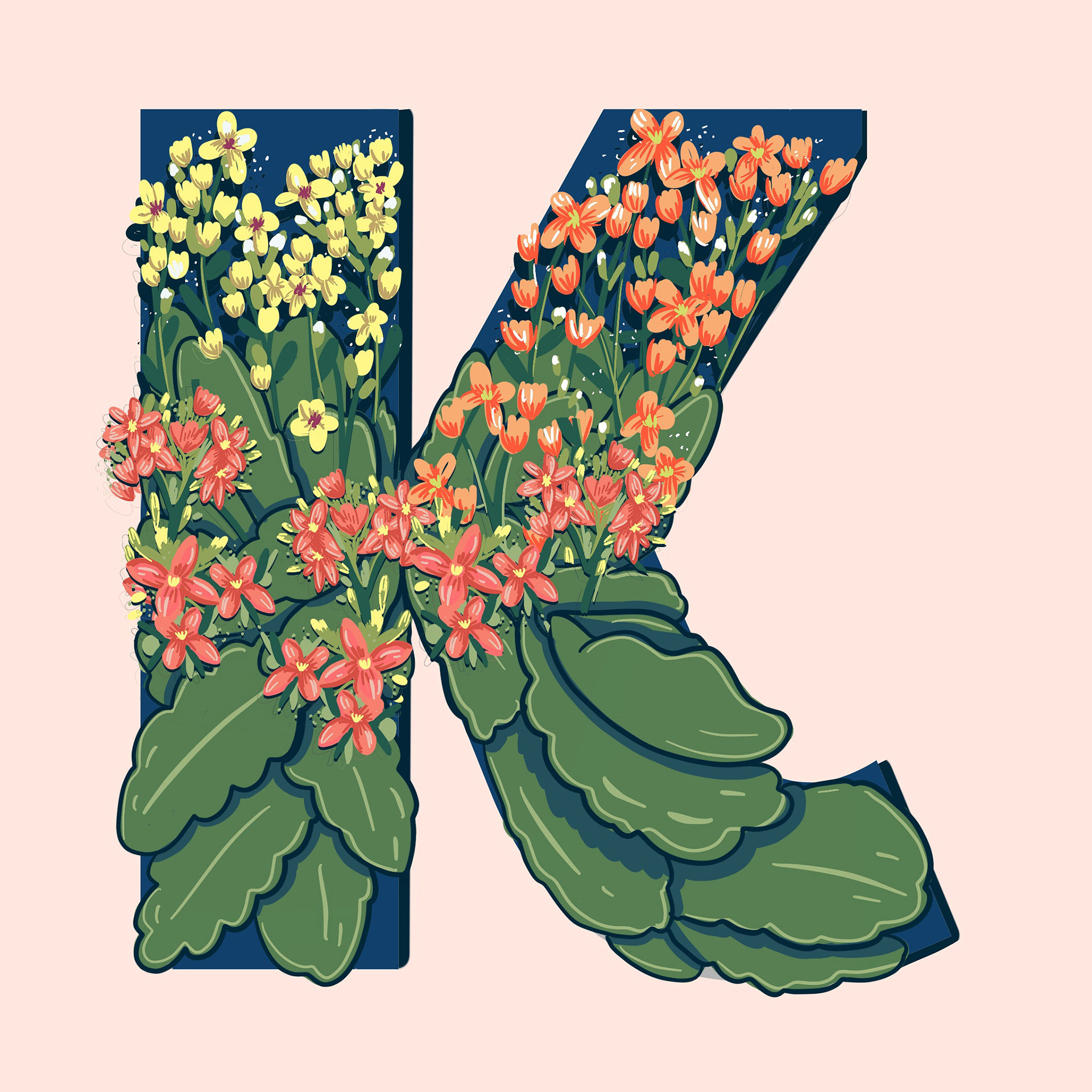 K is for Kalanchoe