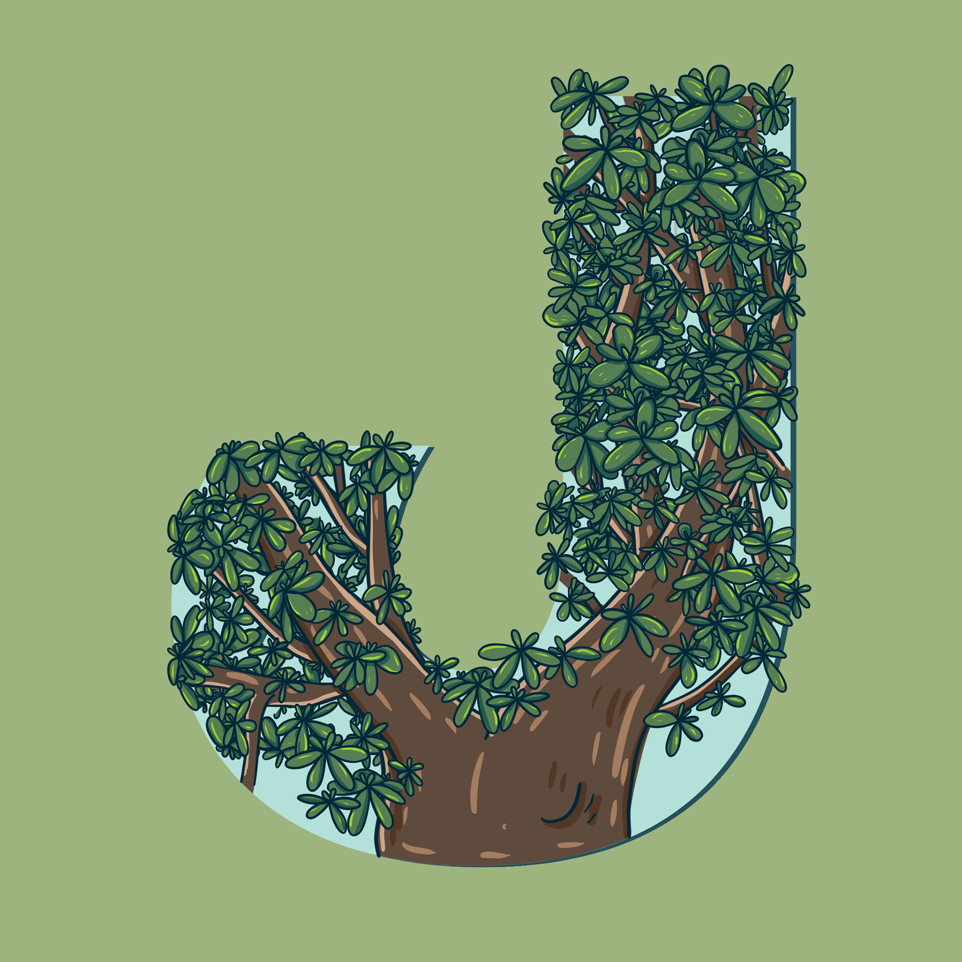 J is for Jade Plant