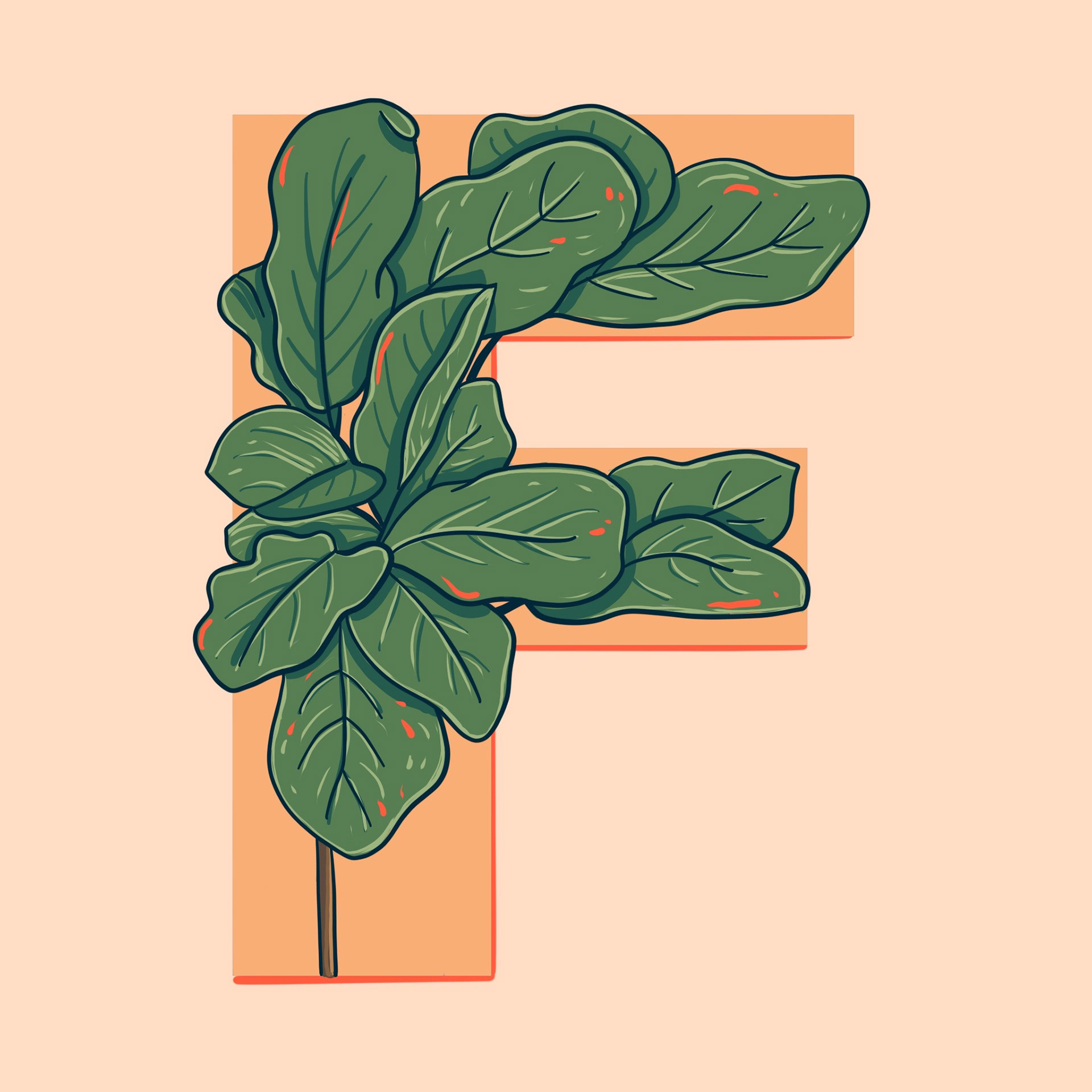 F is for Fiddle Leaf Fig