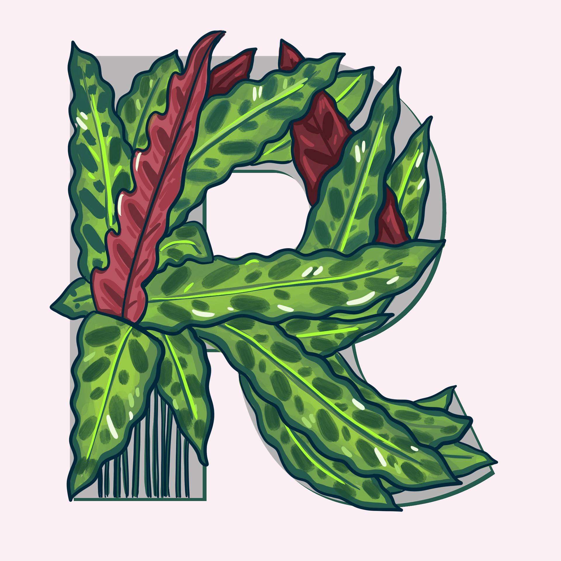 R is for Rattlesnake Calathea