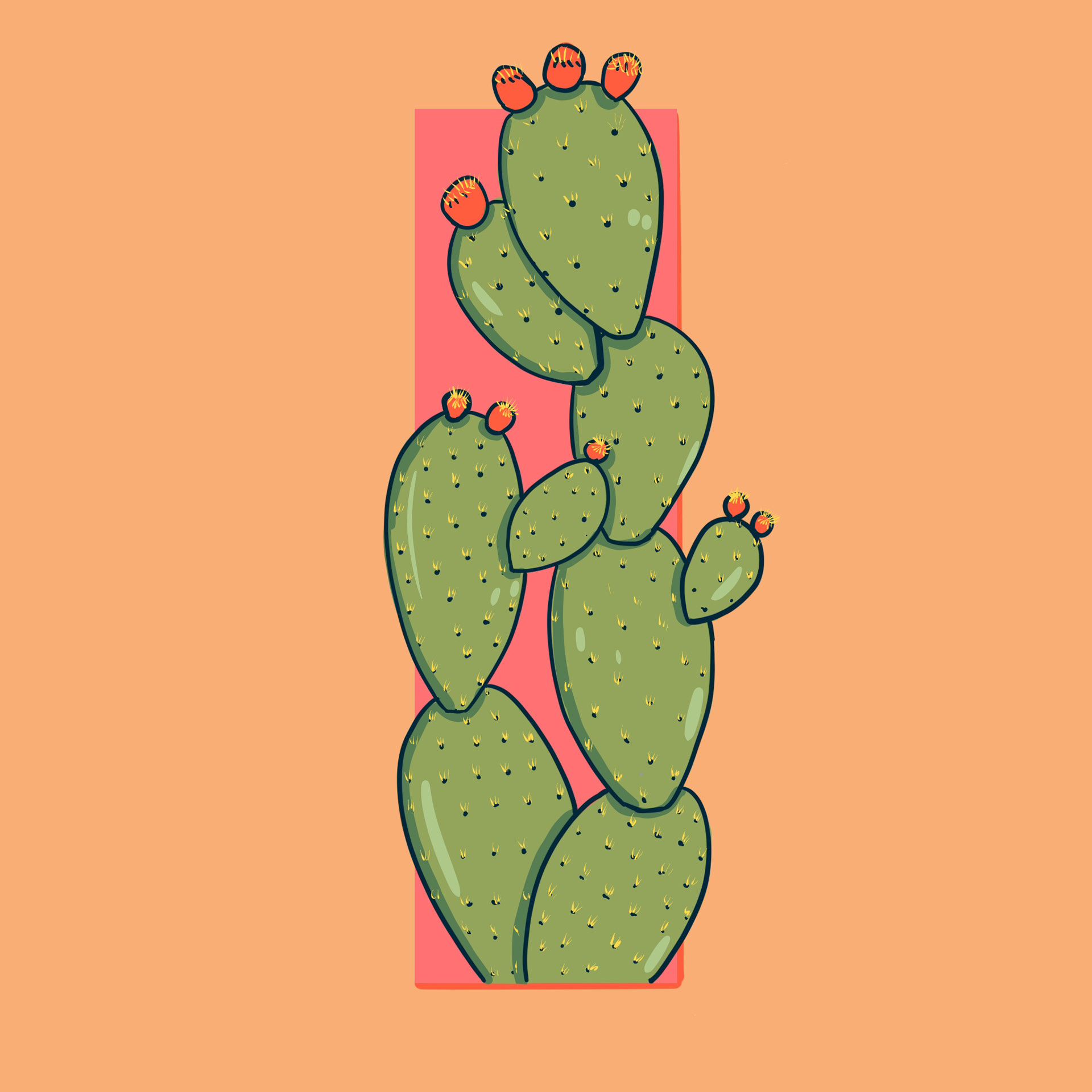 I is for Indian Fig Cactus