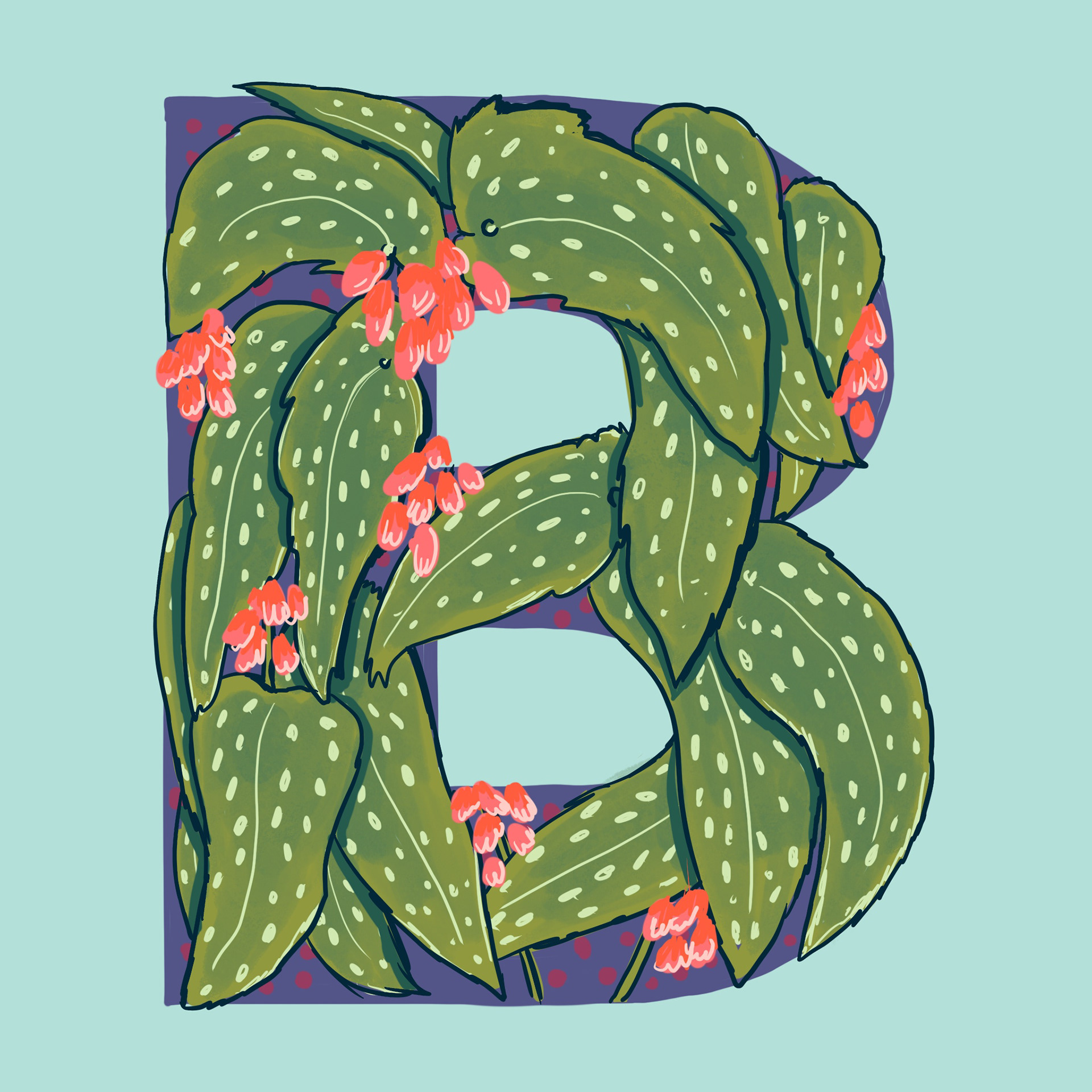 B is for Begonia