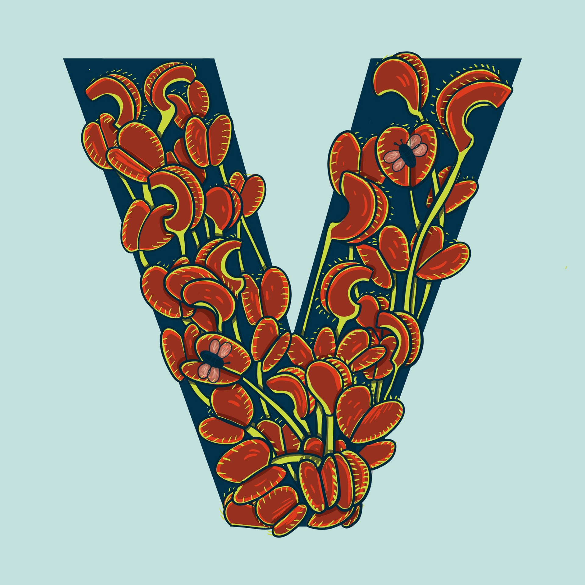 V is for Venus Fly Trap