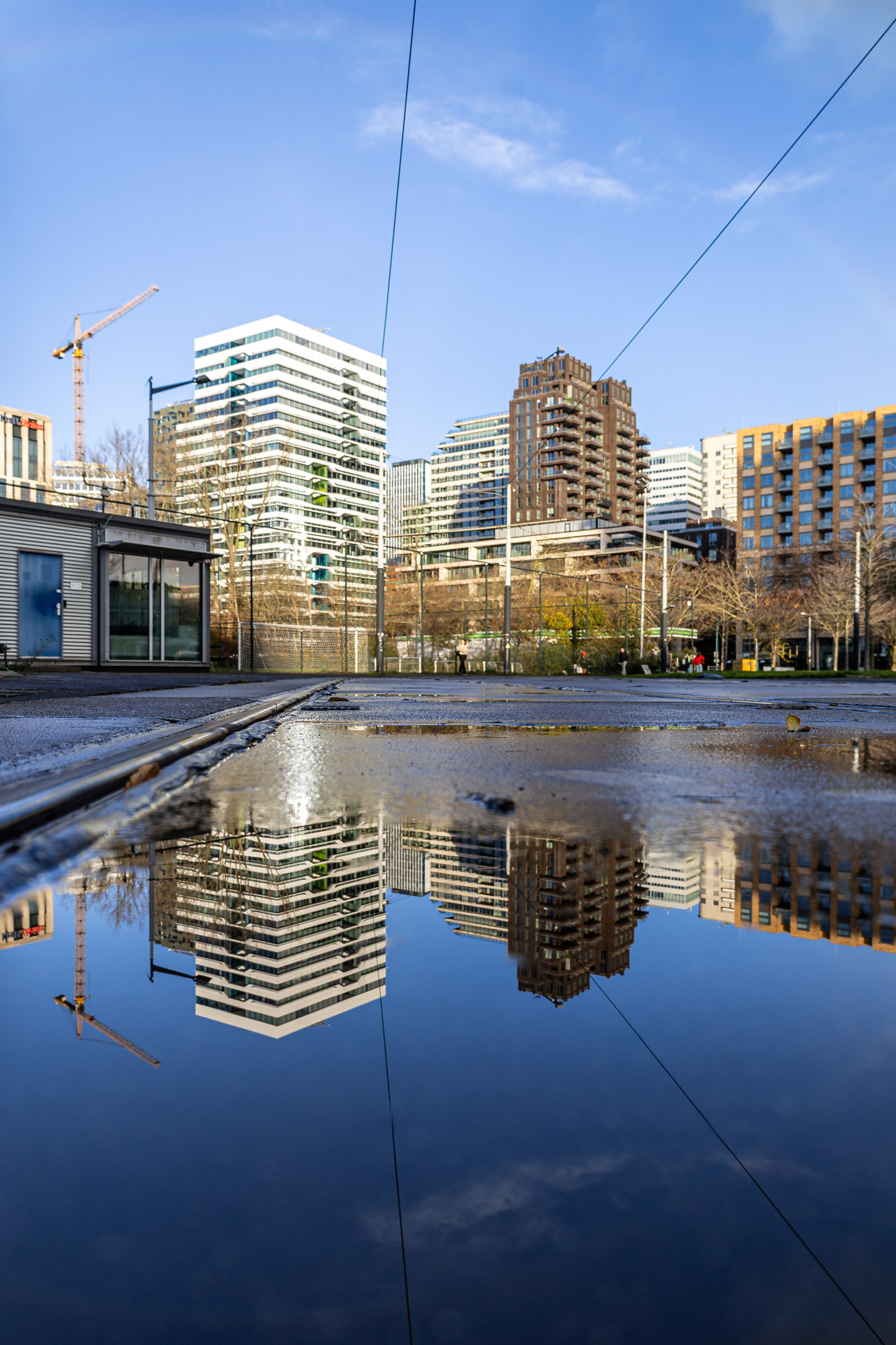 Verstening en asvalt zorgen ervoor dat de temperatuur in de stad ‘s zomers steeds hoger oploopt. De jong aangeplante bomen aan de Parnassusweg brengen op termijn verkoeling.