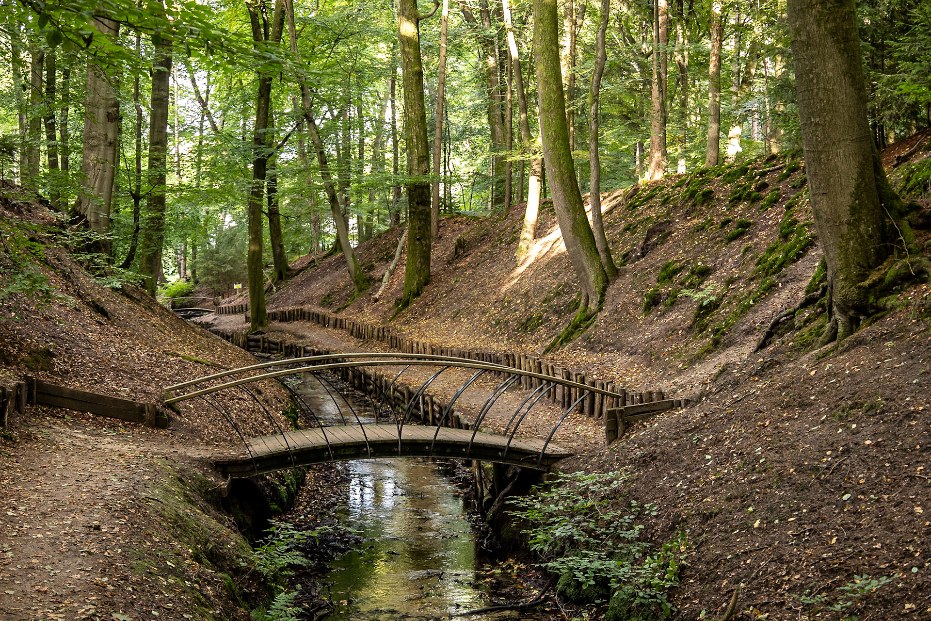 Beekhuizen 2024