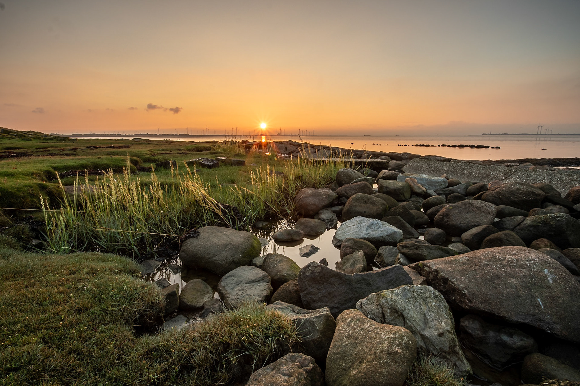 Waddenzee 2022