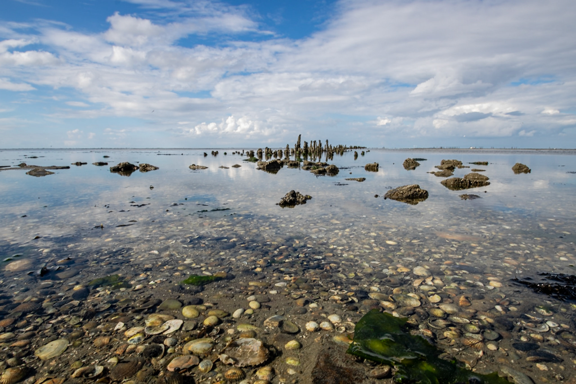 Waddenzee 2022