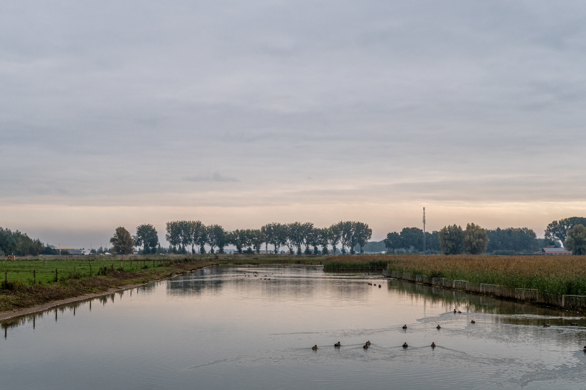 Park Lingezegen 2020