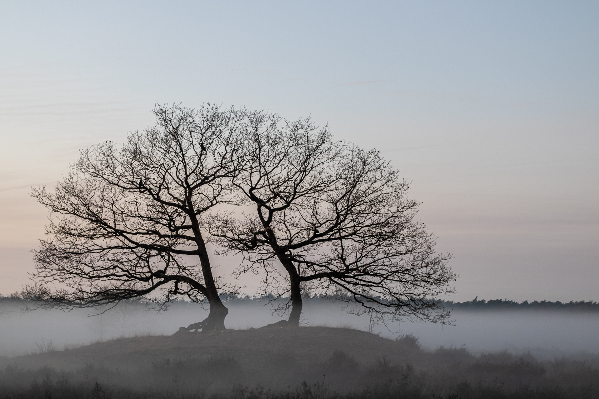 Loonse en Drunense Duinen 2025