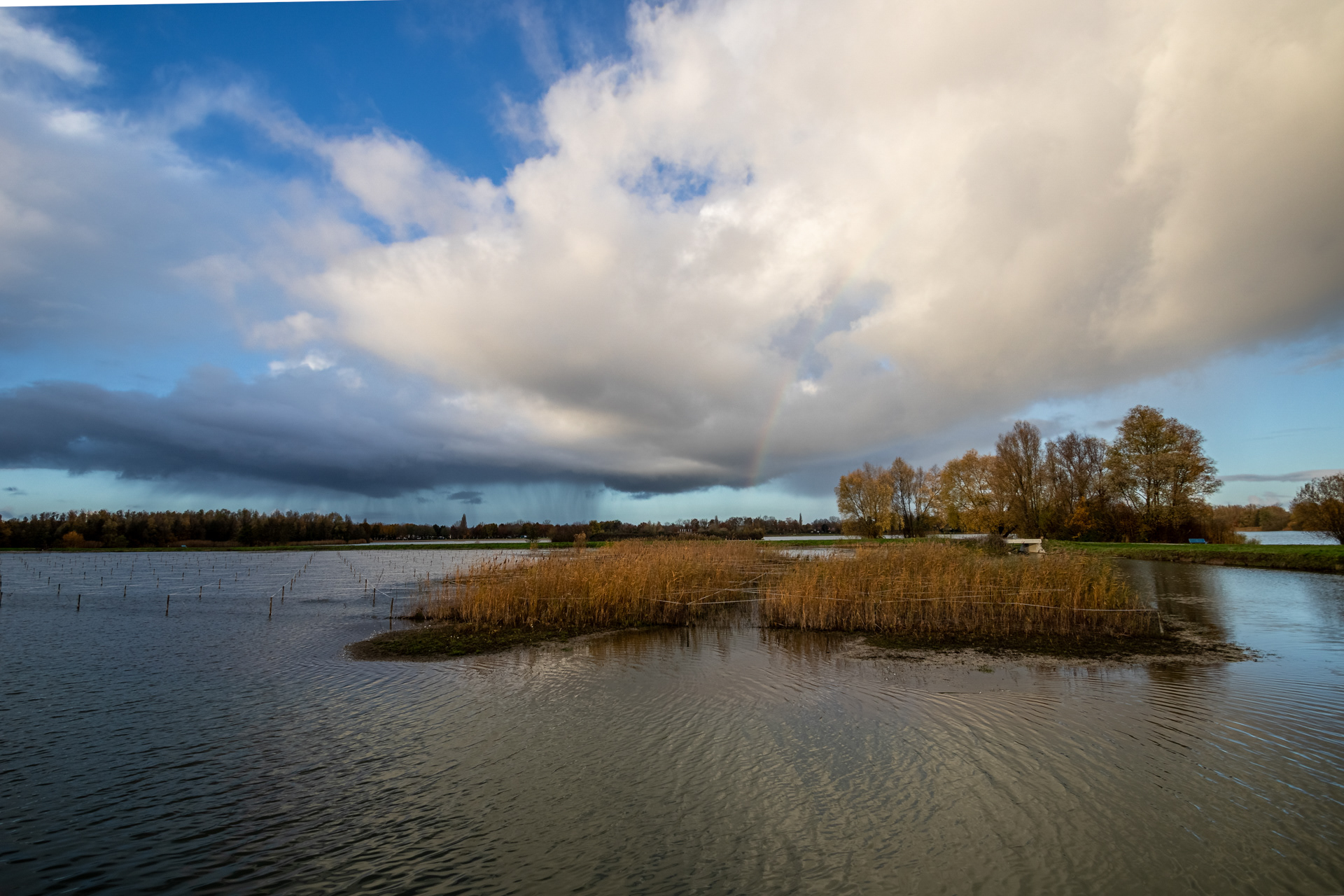 Park Lingezegen 2020