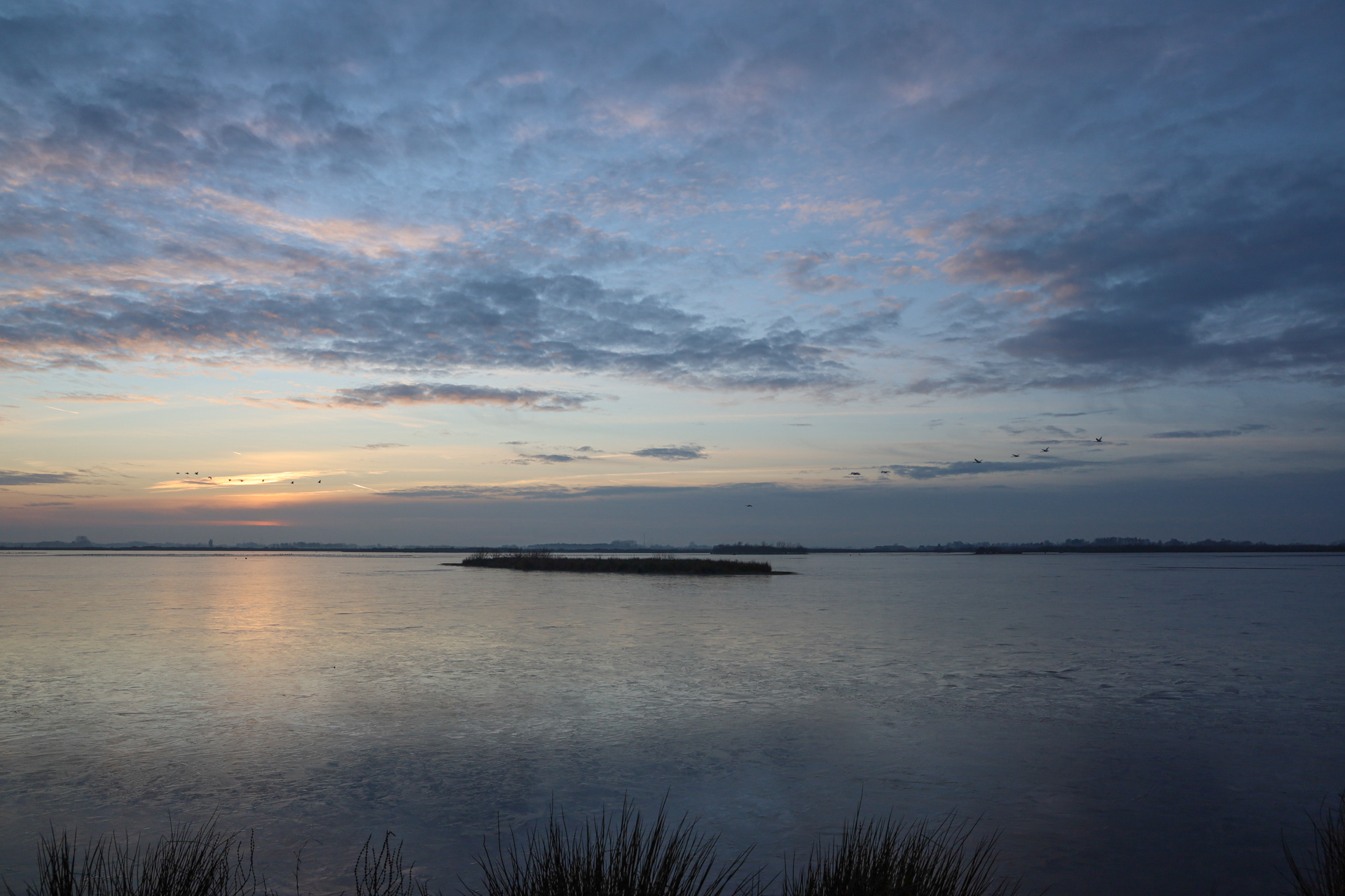 Roegwold. Groningen 2021