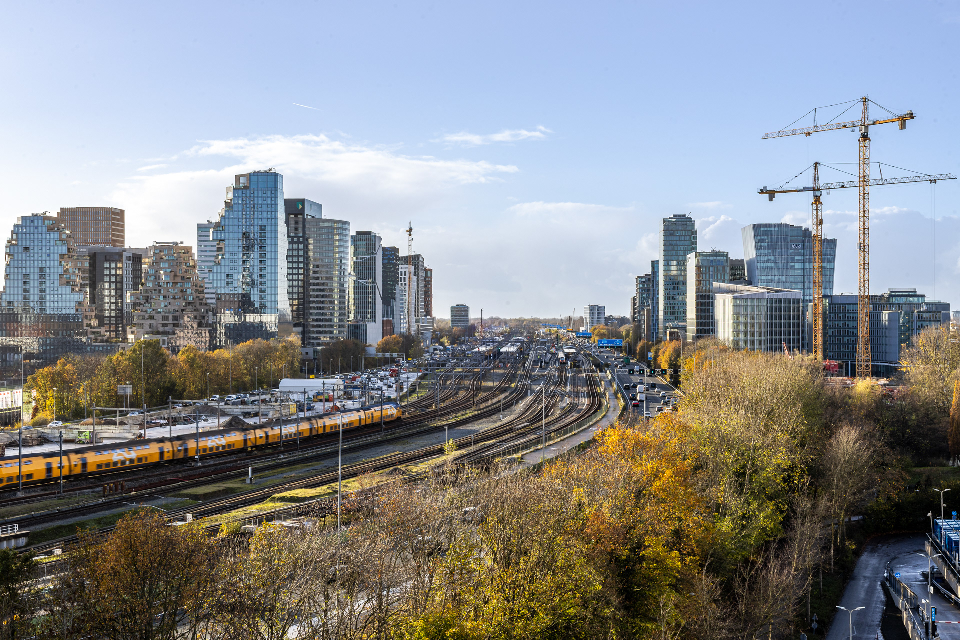 Een sterke groene infrastructuur draagt bij aan een gezonde leefomgeving – nu en in een toekomst waarin de opwarming van de aarde ons kwetsbaar maakt. De Amsterdamse Zuidas transfomeert daarom tot een duurzaam stadsgebied voor wonen, werken en recreatie. Bomen spelen daarin een cruciale rol.