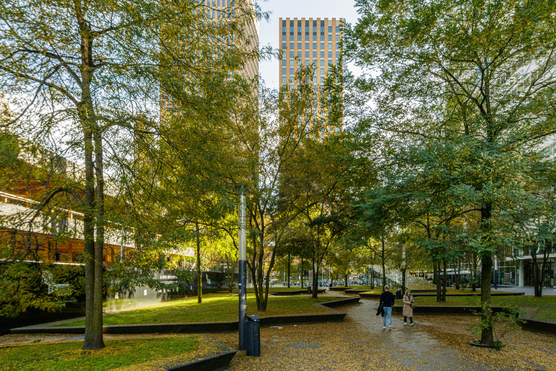 Bomen op het Gustav Mahlerplein dragen bij aan de gemeentelijke doelstelling om koele plekken in de stad te creëren.