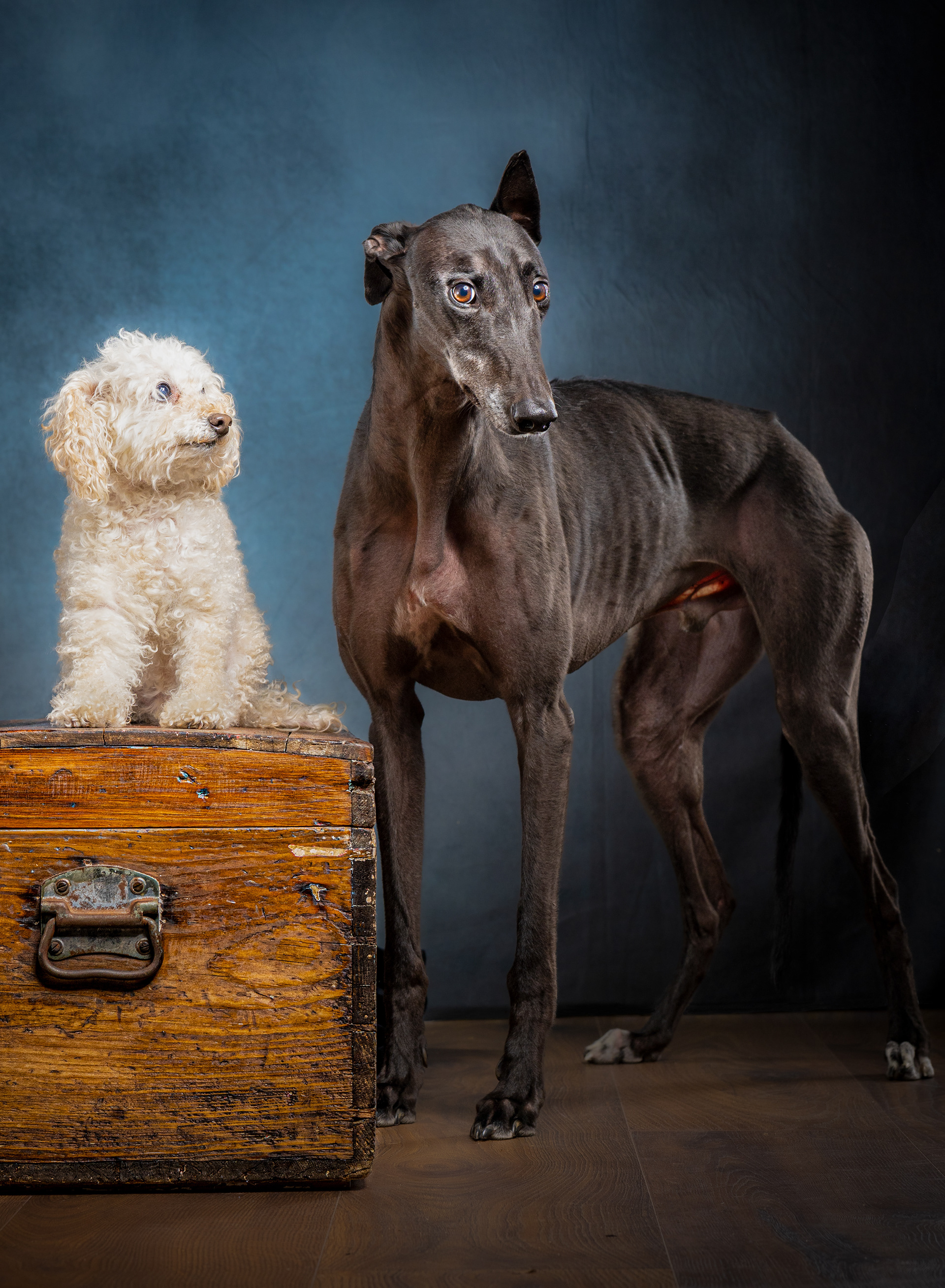 Besties, Drewie & Shine