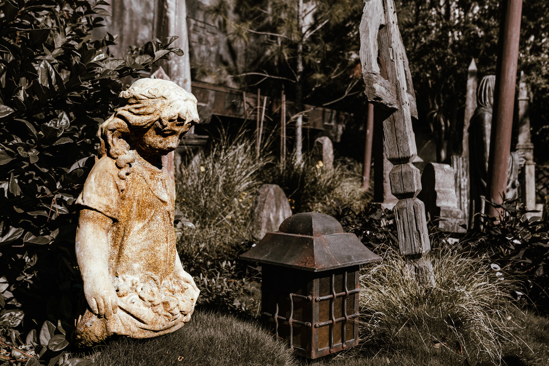 Nothing Stays Buried in Darkmoor
