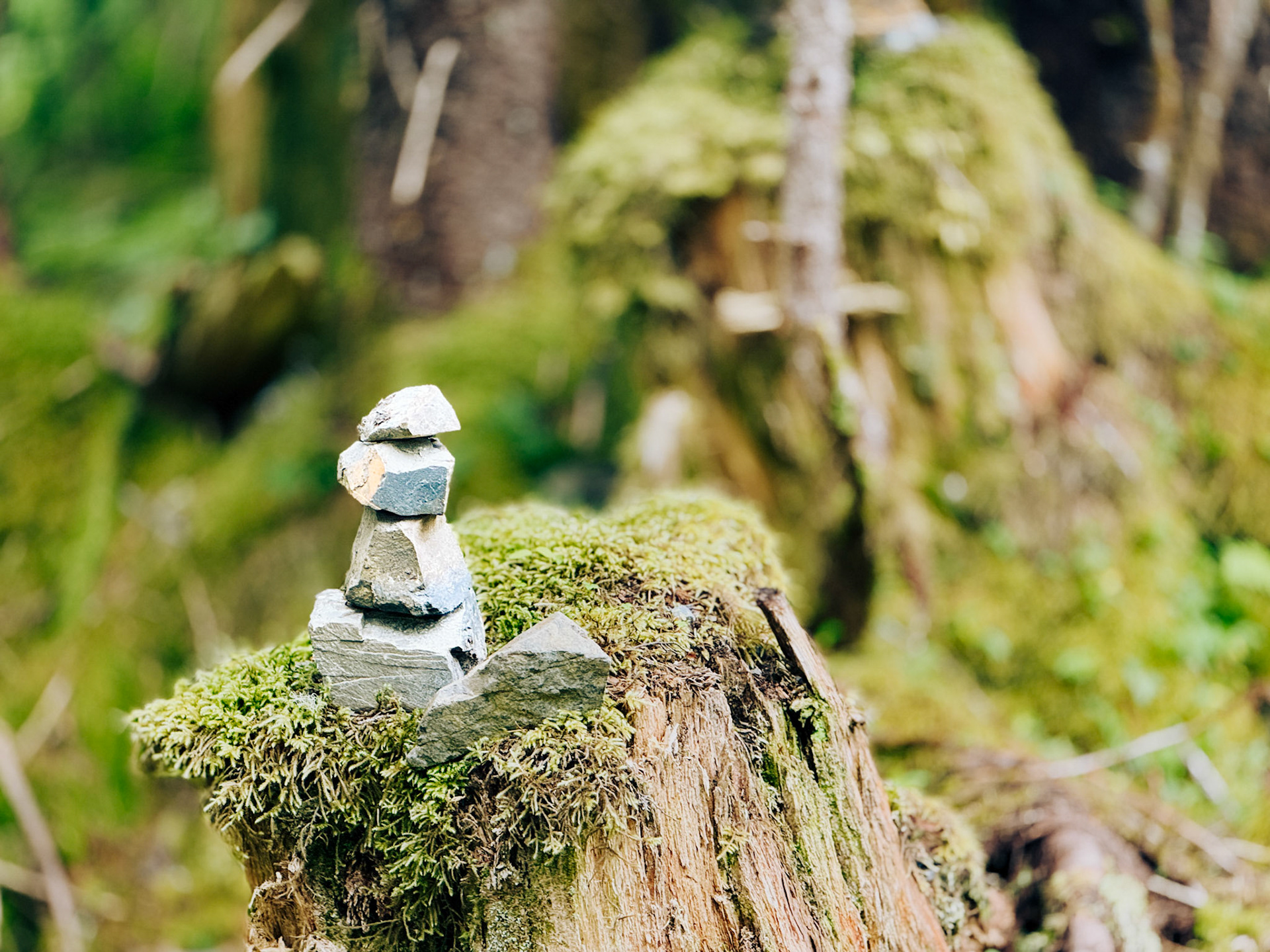 Hidden Lake, Hoonah, AK