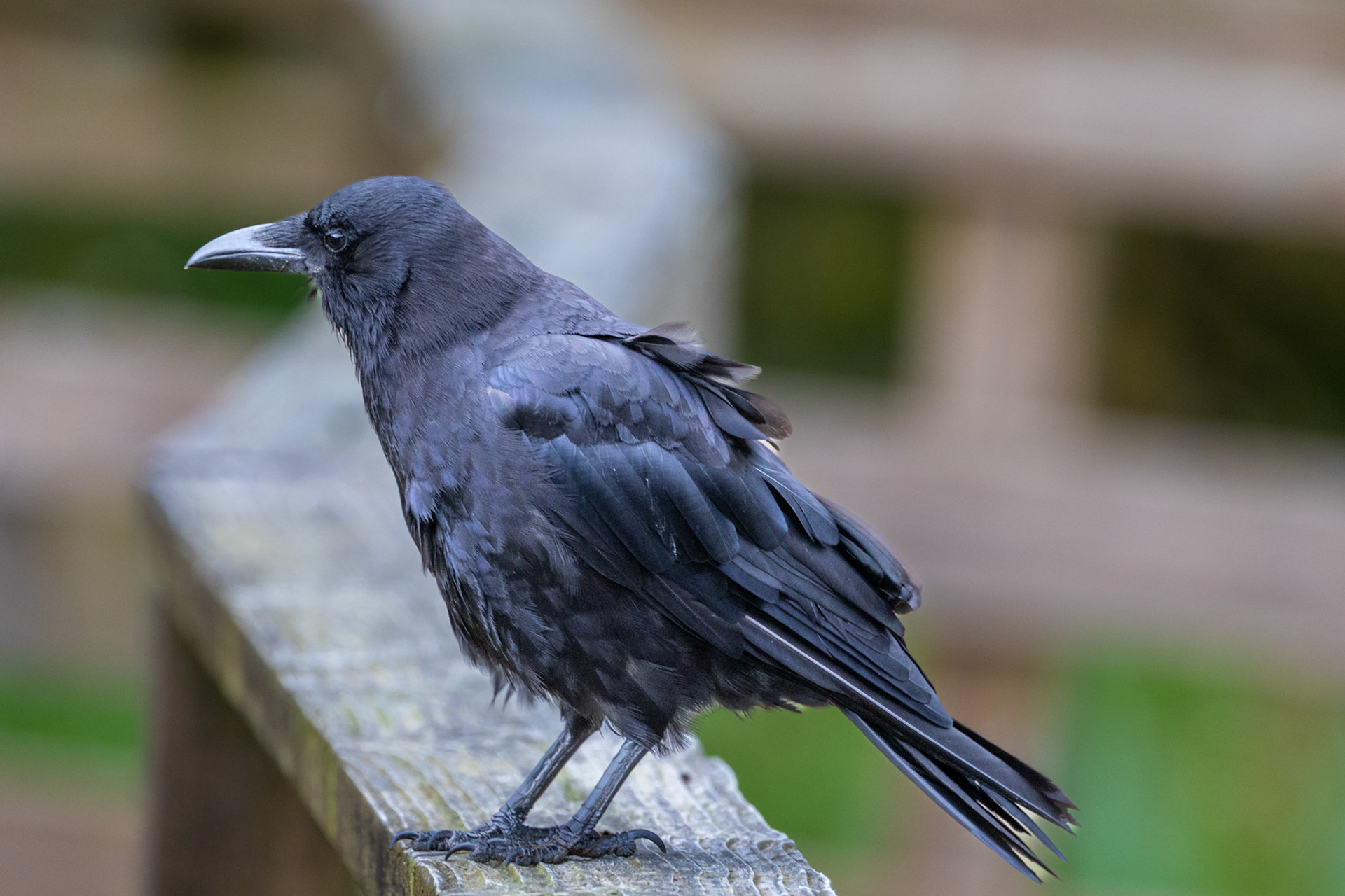 Herring Cove, Ketchikan, AK