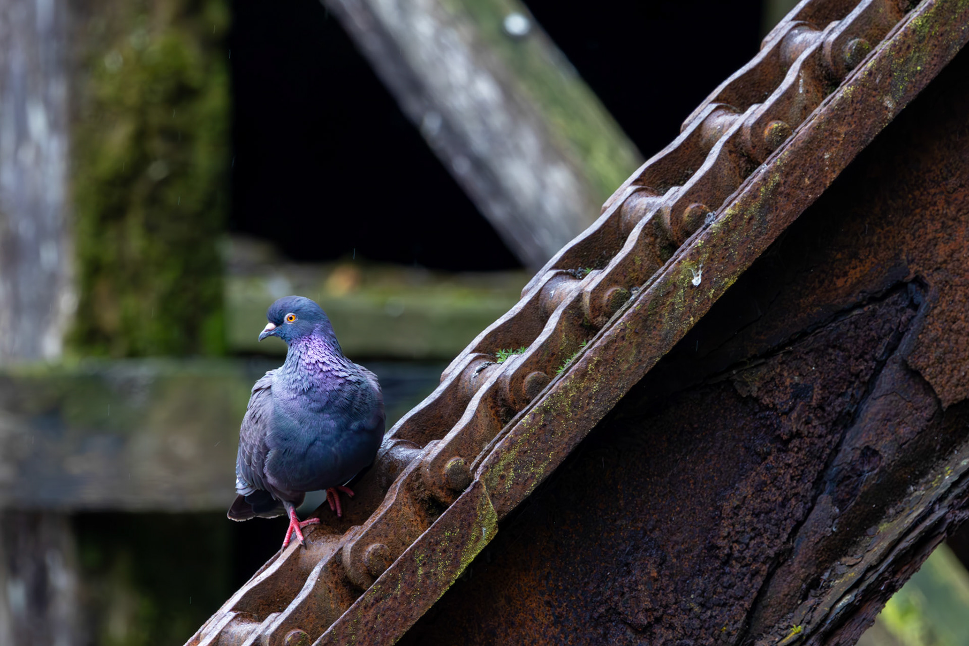 Herring Cove, Ketchikan, AK