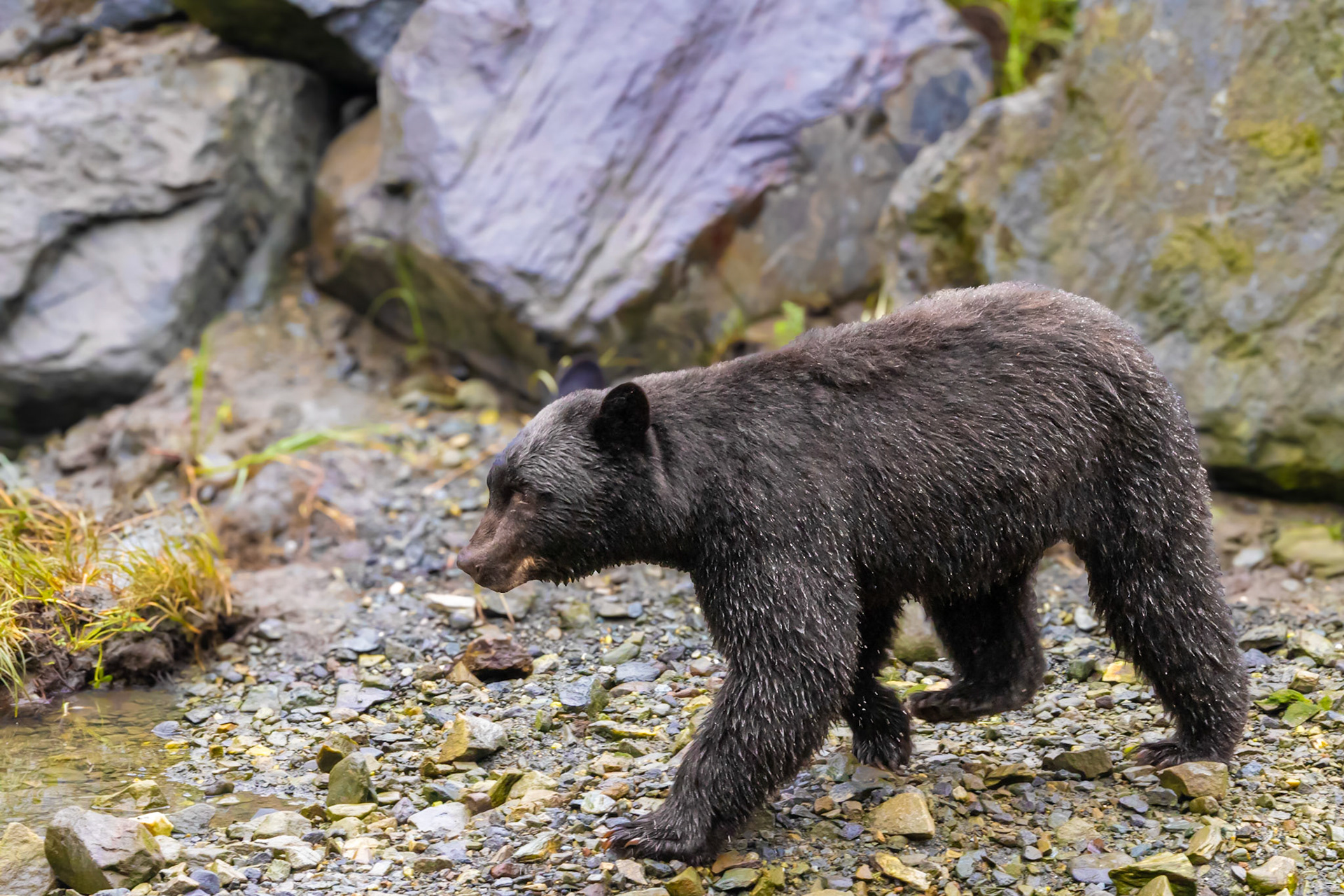Herring Cove, Ketchikan, AK