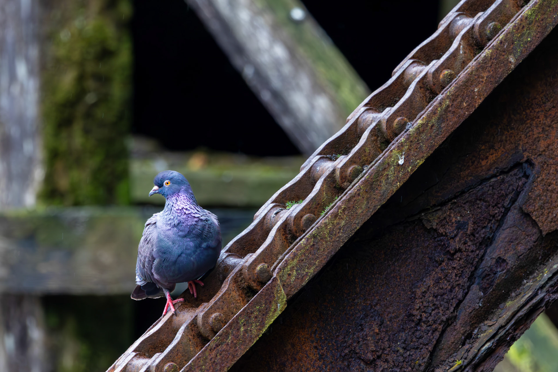 Herring Cove, Ketchikan, AK